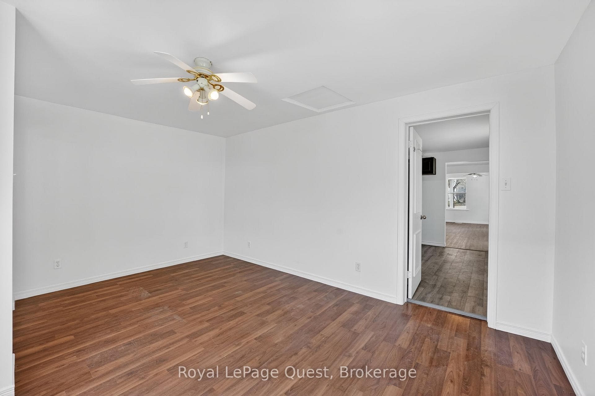 55 Elgin Street photo 22