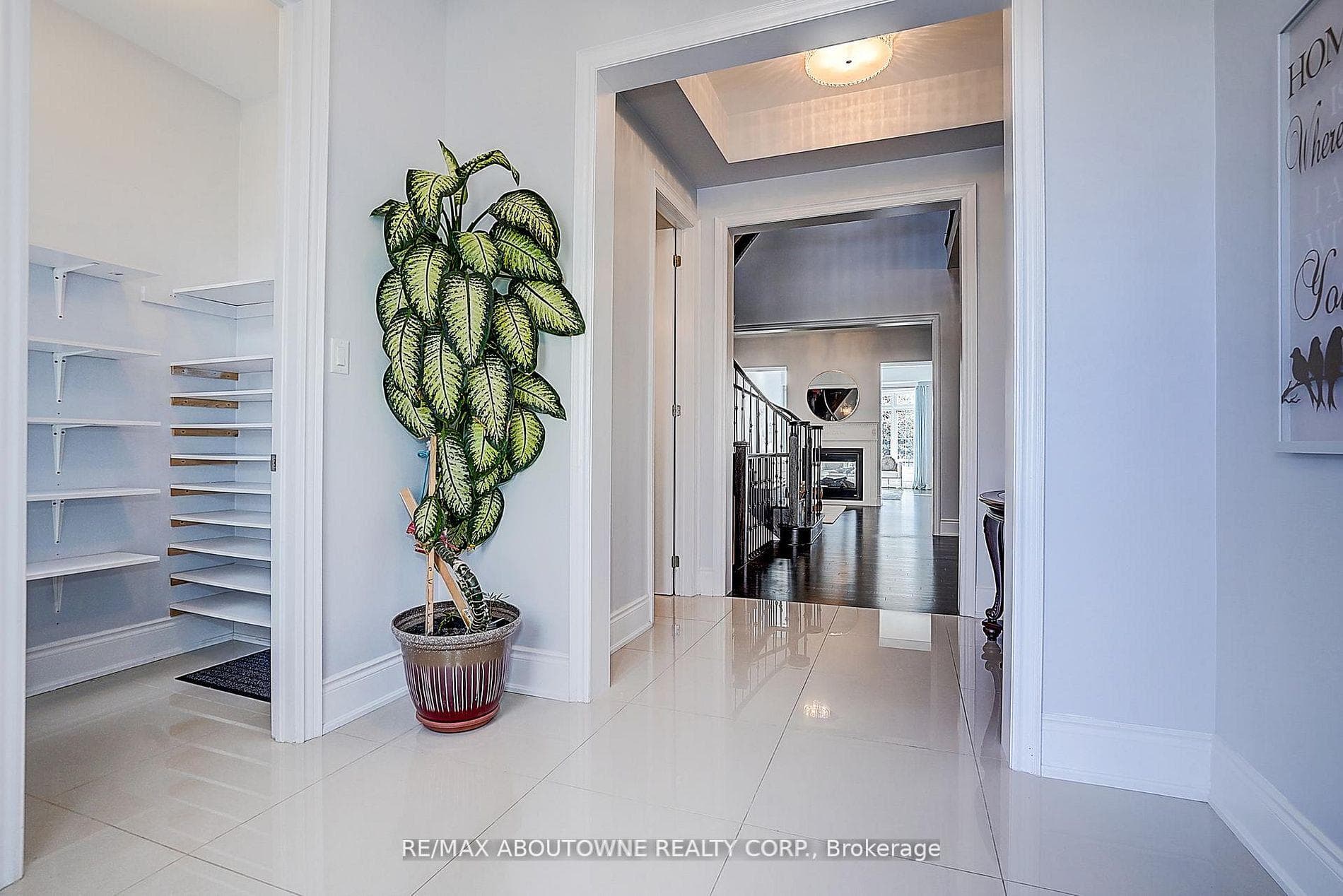 16 Gracedale Drive photo 3