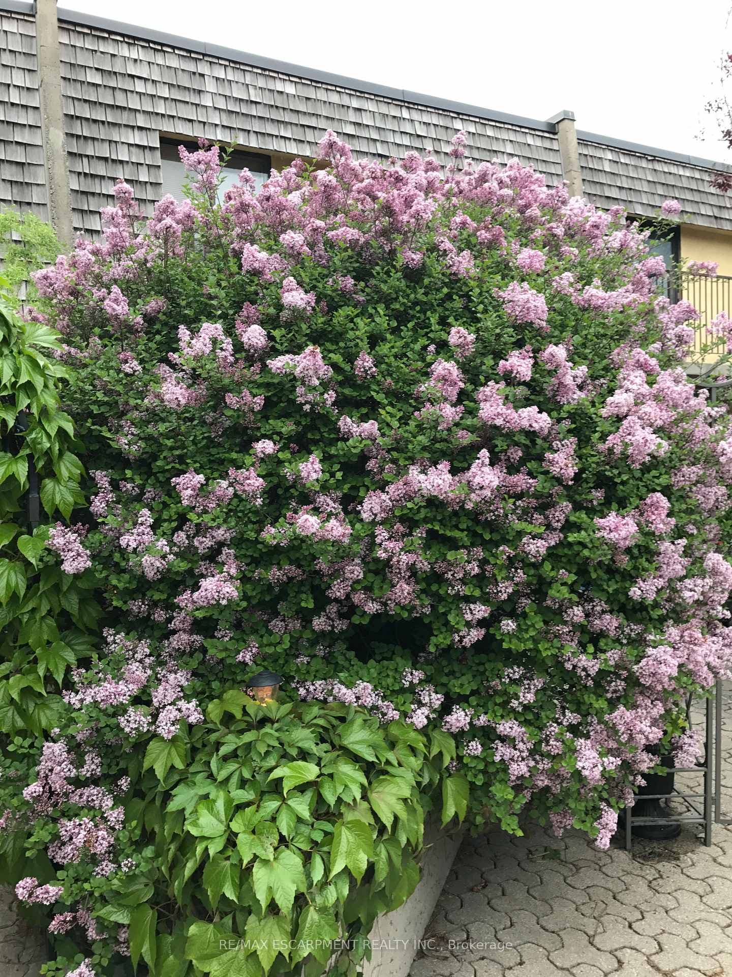 1250 Mississauga Valley Boulevard Unit 177 photo 41