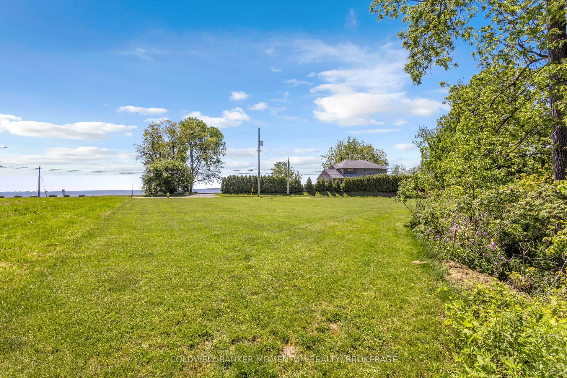 71 Wolven Street photo 16