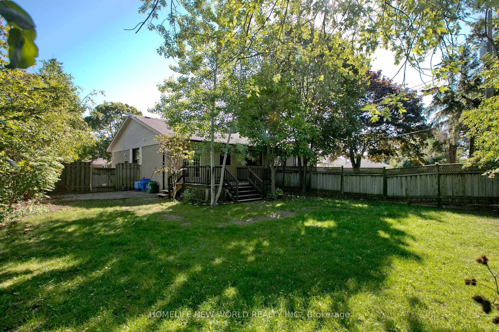 backyard1