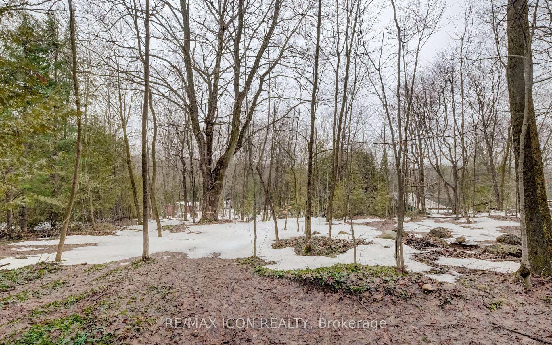 263074 Wilder Lake Road photo 11