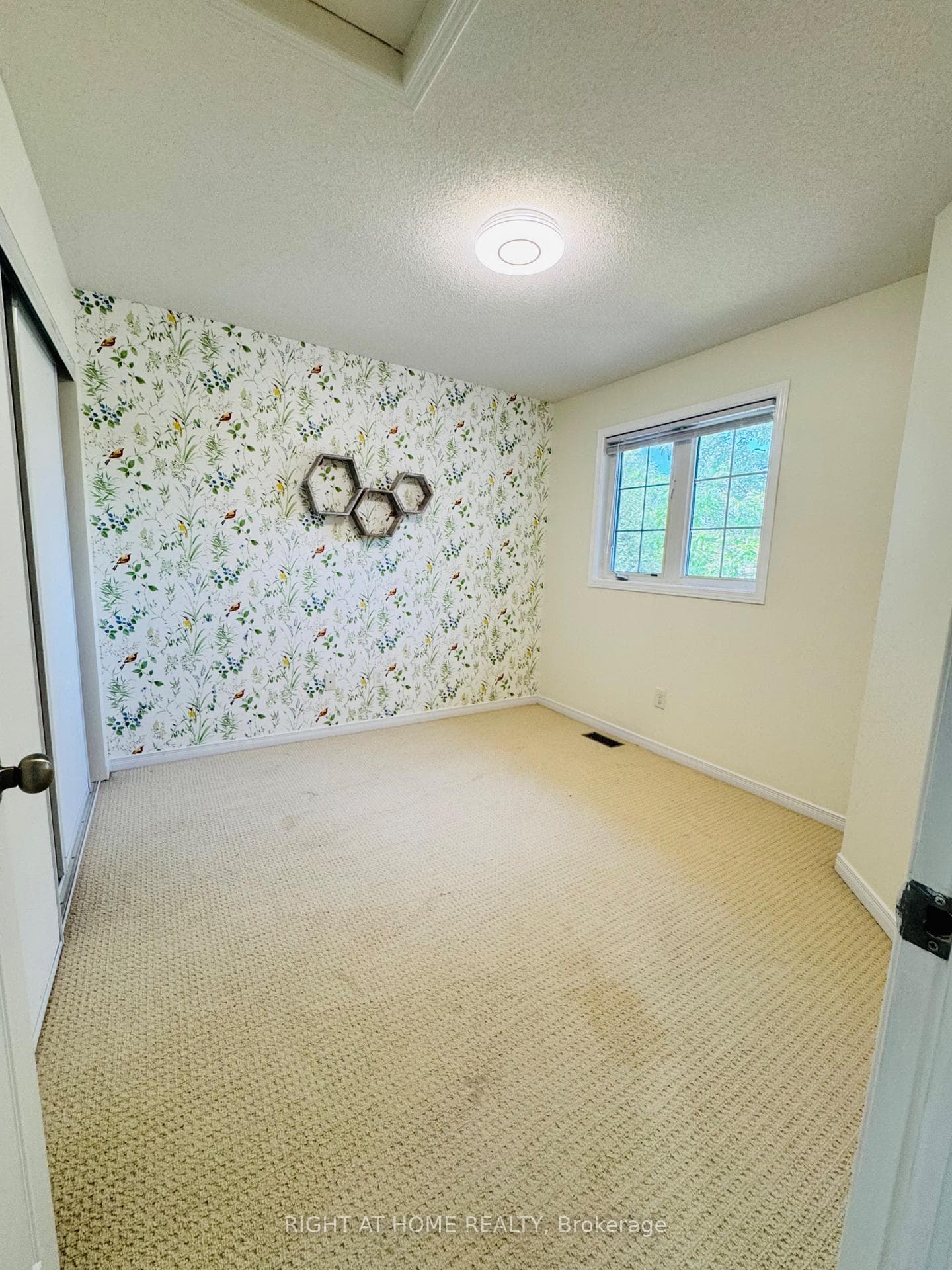 1069 Marconi Avenue photo 15