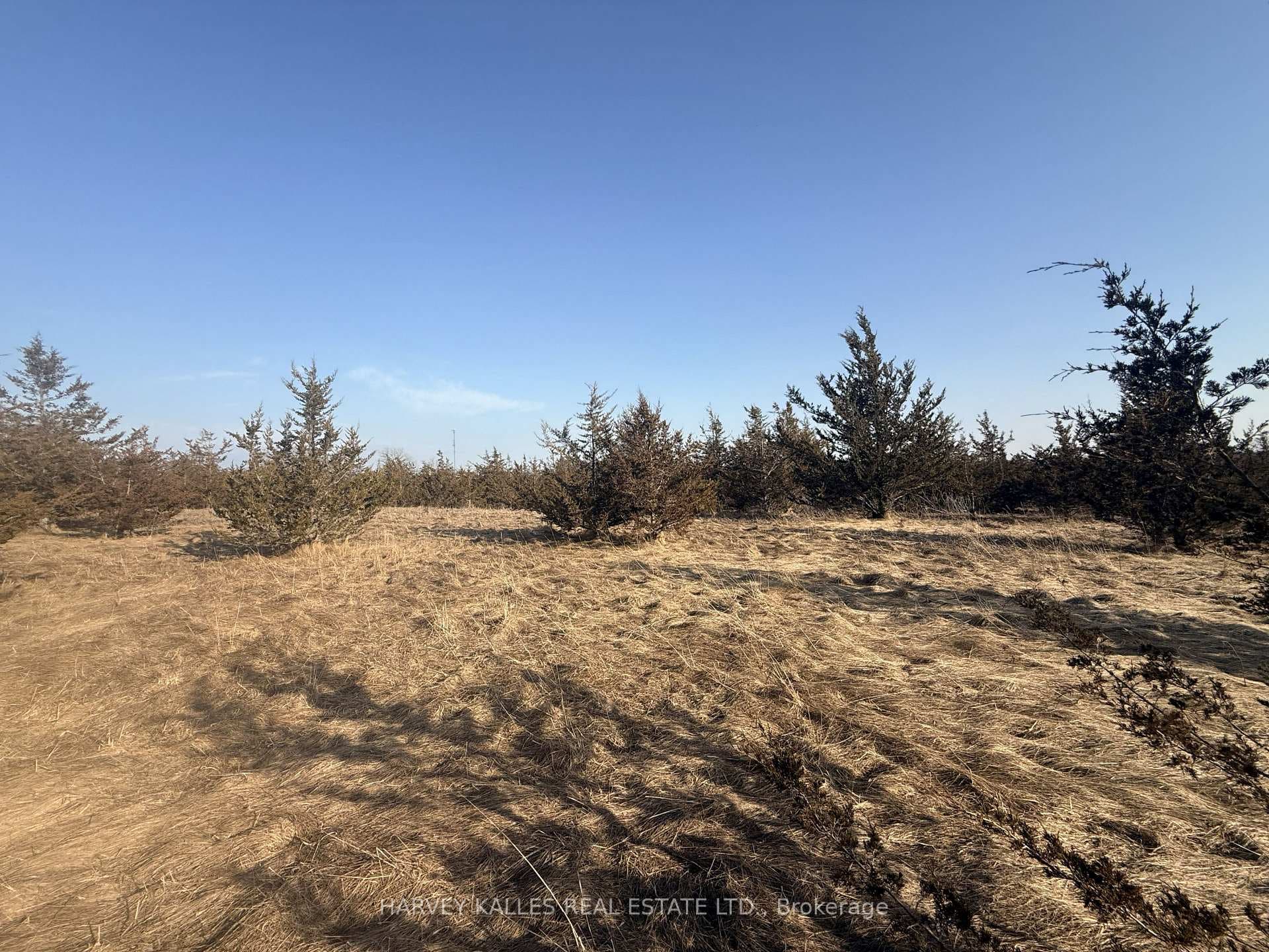 Lot 63 Oram Road photo 5