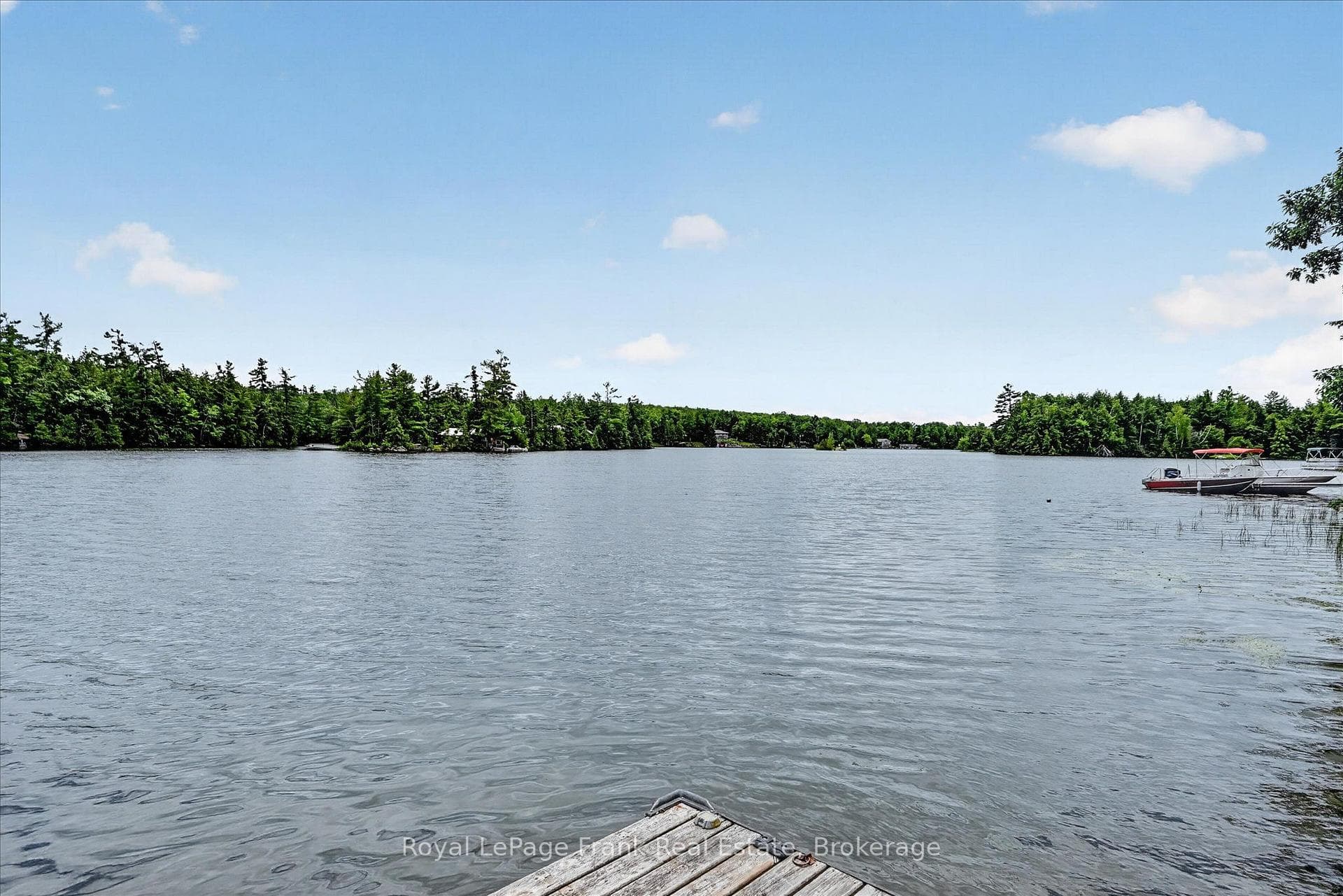 442 Island 7 Stoney Lake N/A photo 6
