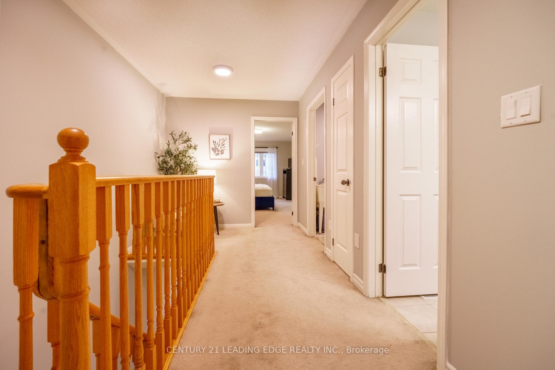 11 Connell Lane photo 13
