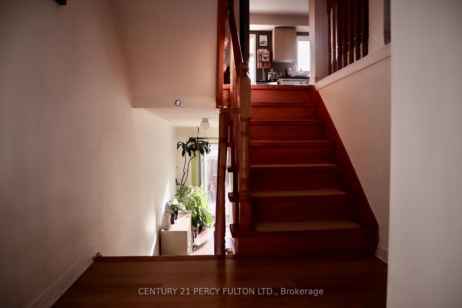 38B Beachell Street photo 9