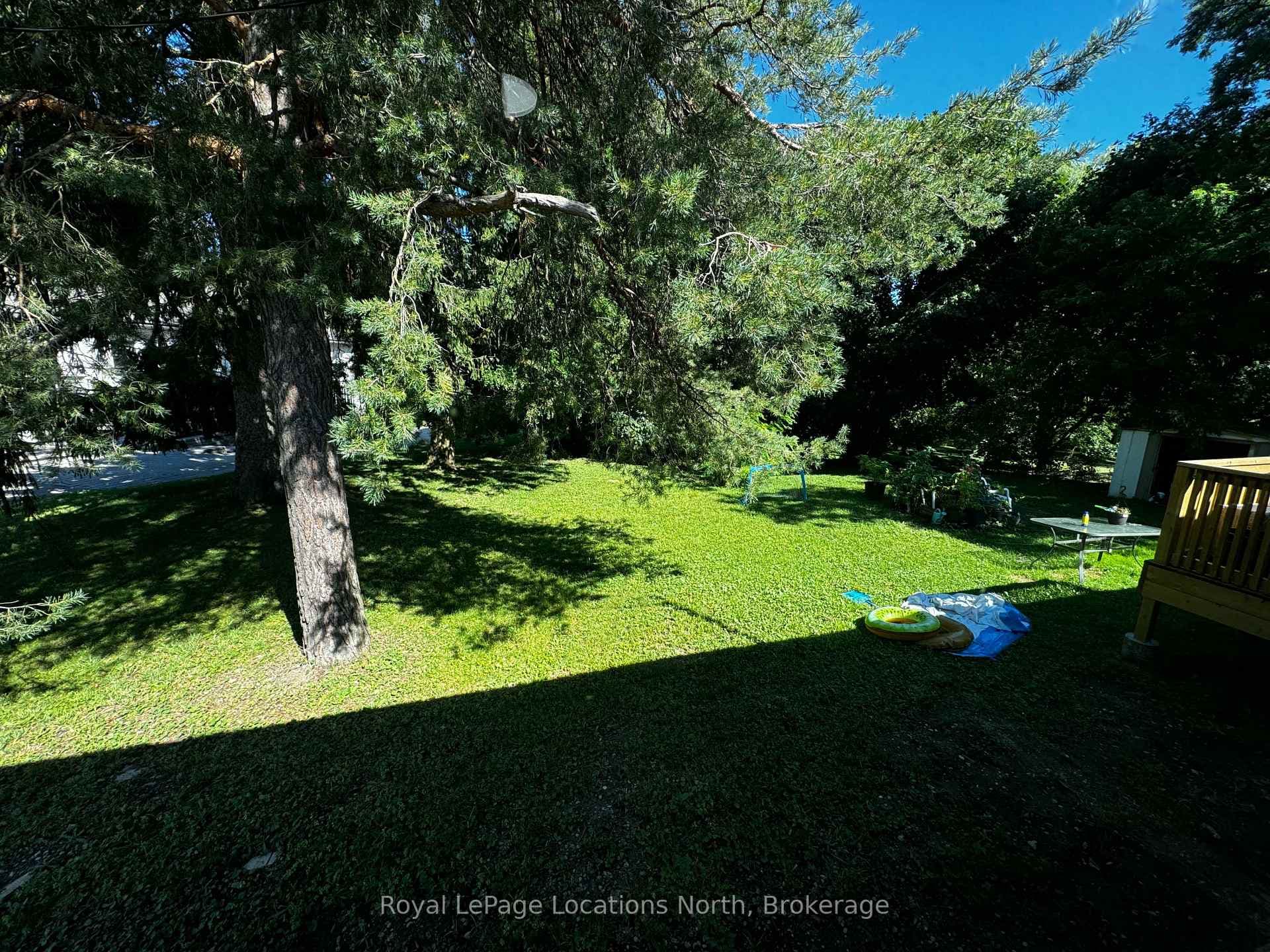 29 Davidson Street photo 21