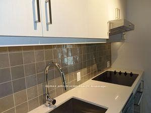9 Tecumseth Street Unit 1013 photo 4