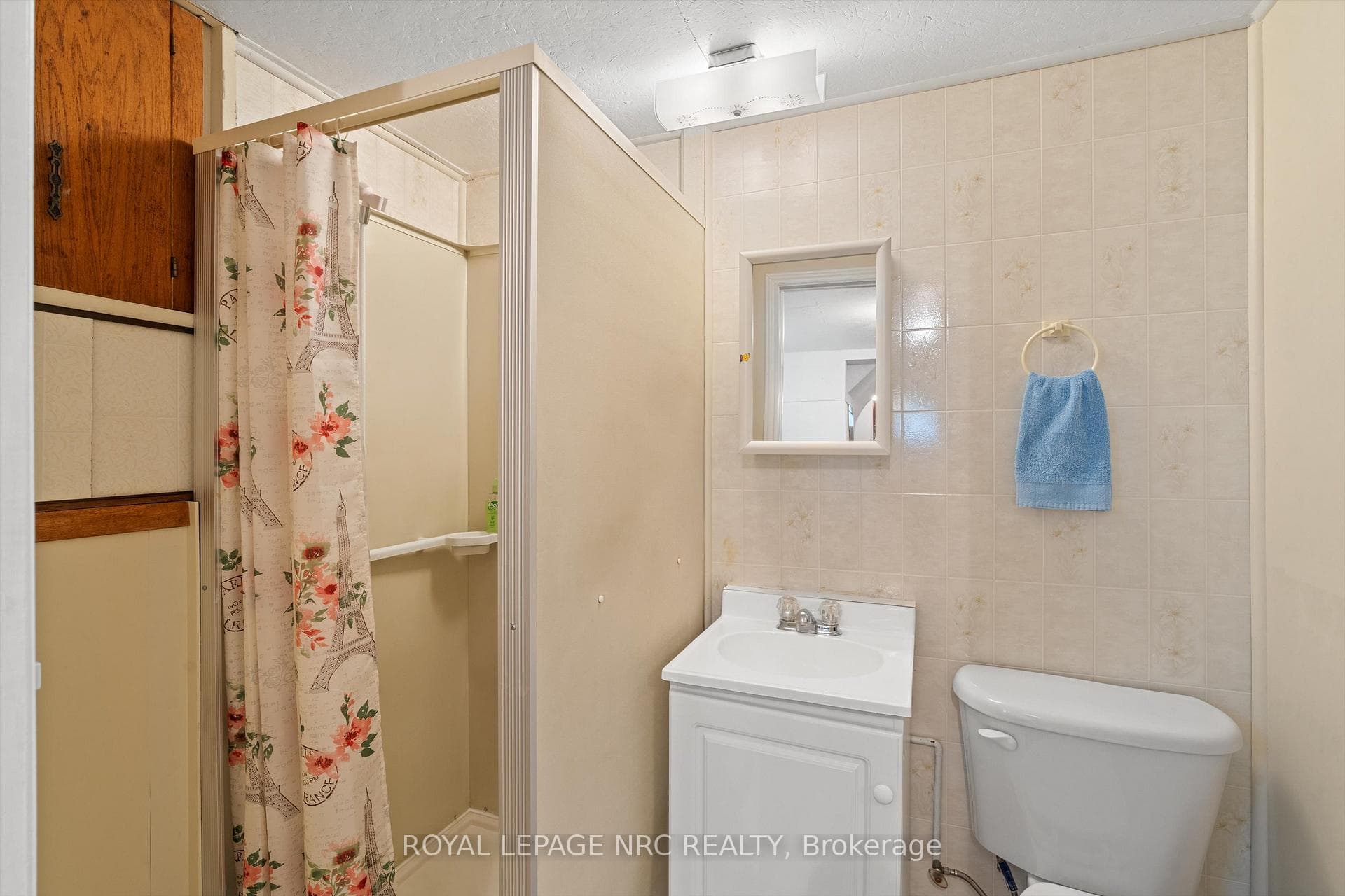 Lower level bathroom with shower