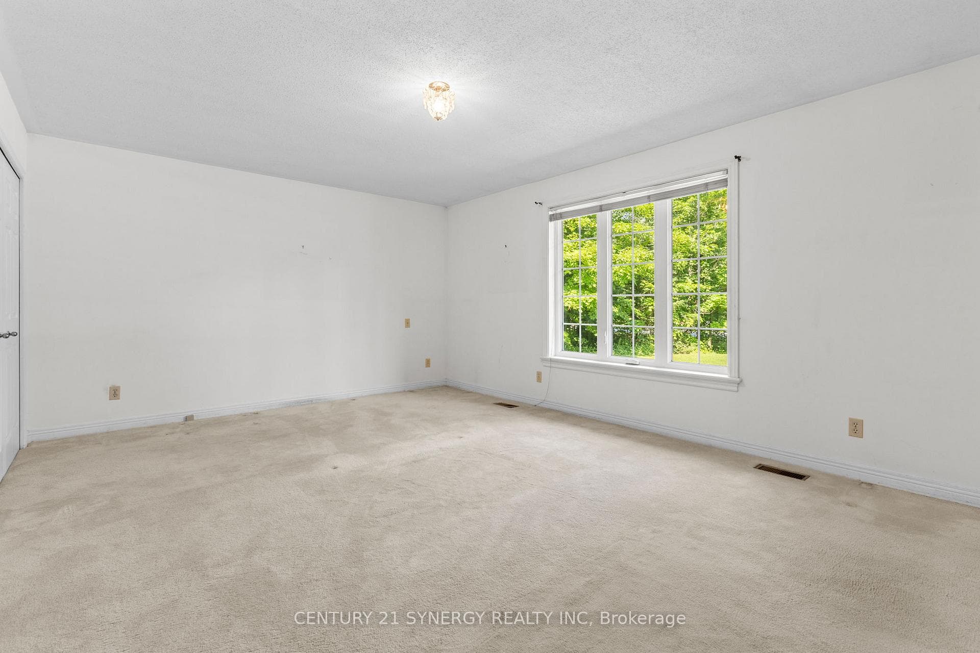 3 Carlisle Circle photo 24