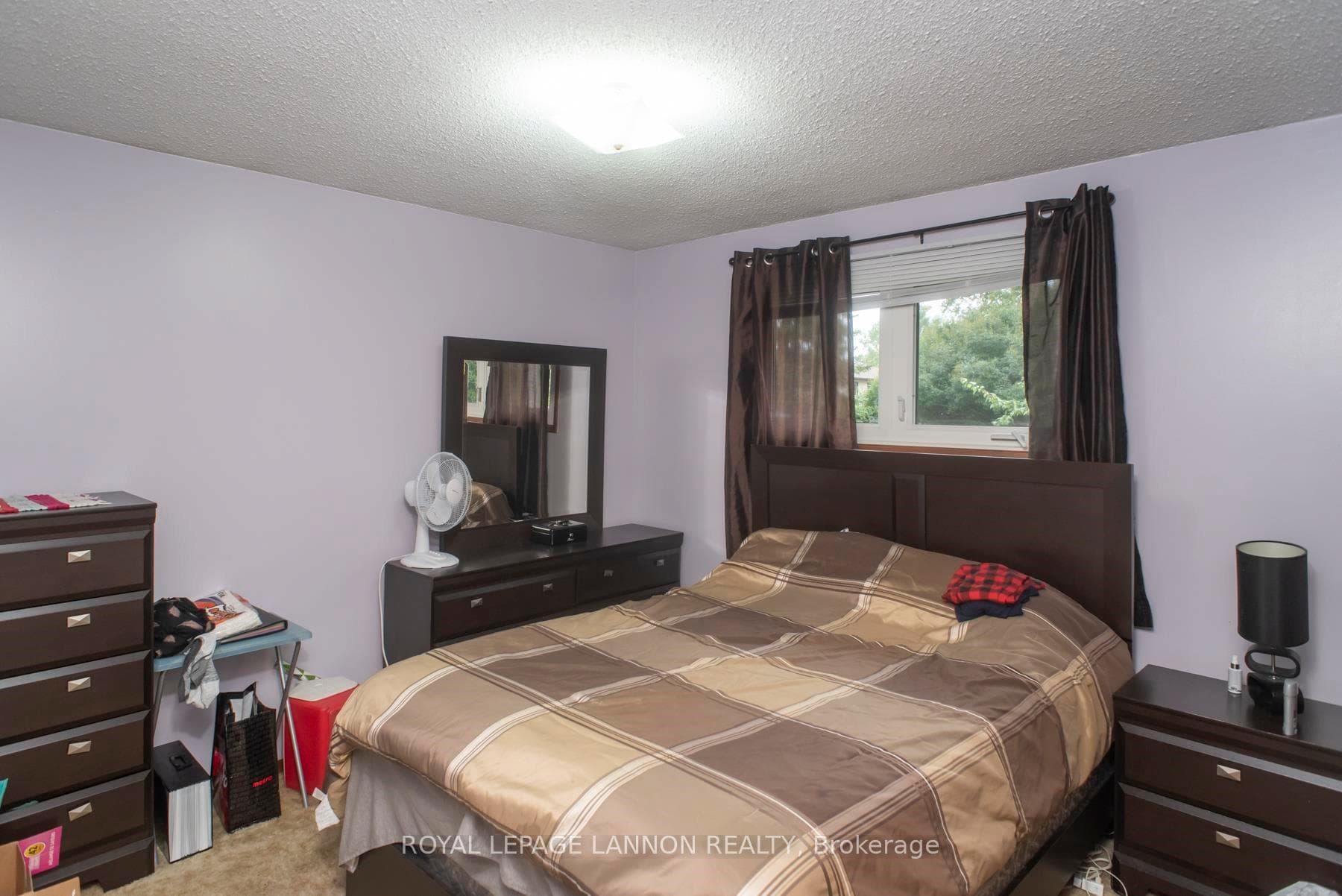 164 County Boulevard photo 16