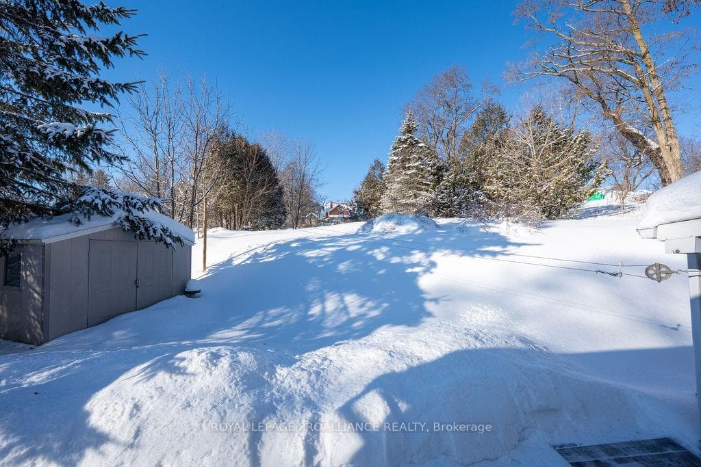 40 Davidson Street photo 17