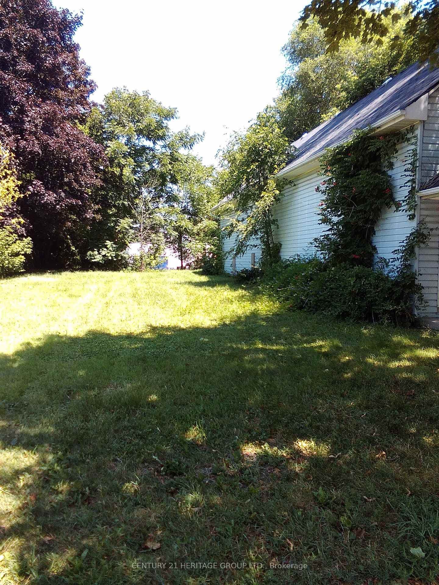 8 Richmond Street photo 5