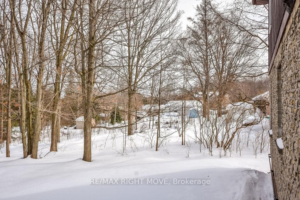 16 Free Drive photo 35