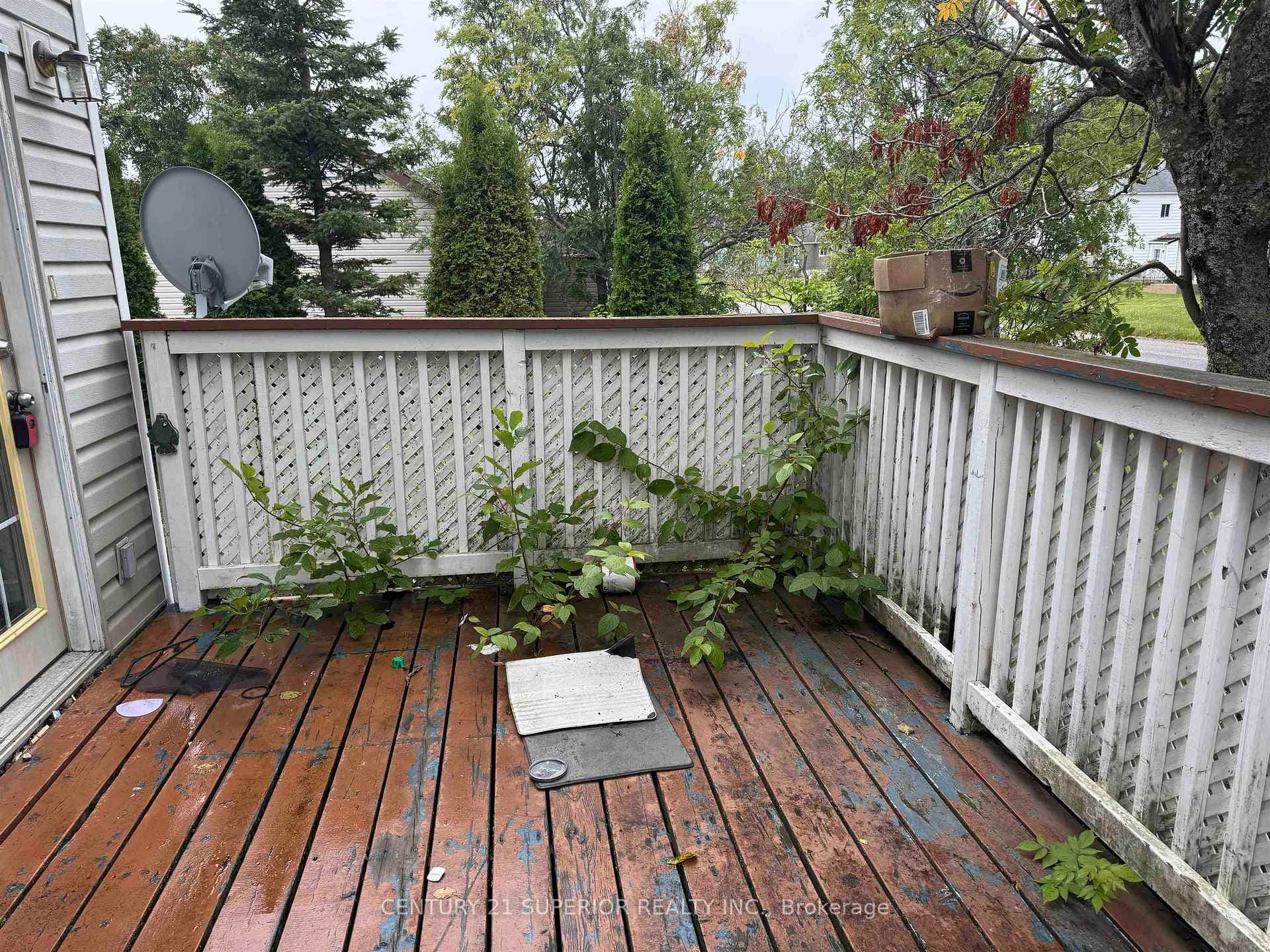 3 Ross Ave photo 31
