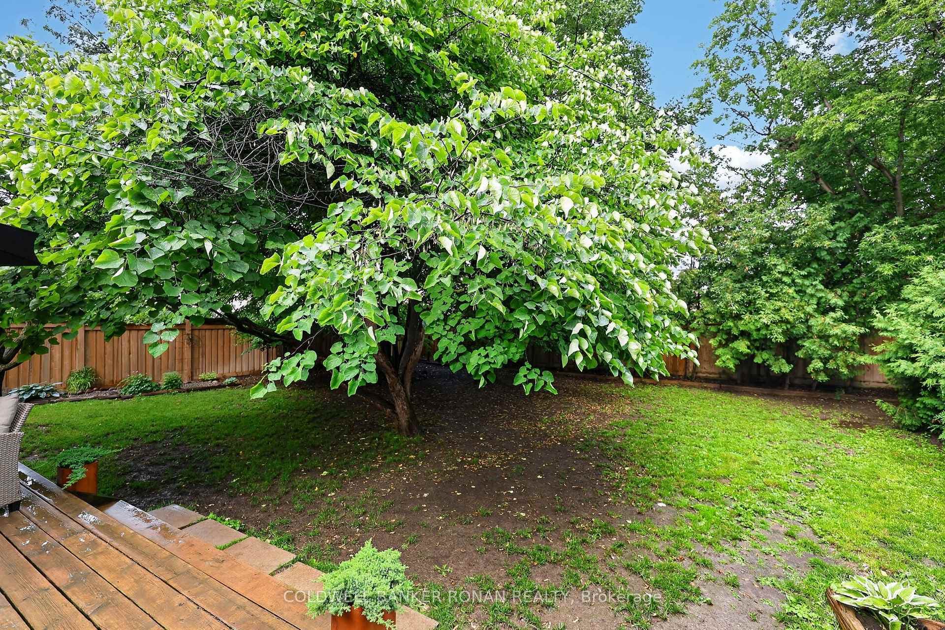 4 Richmond Street photo 30