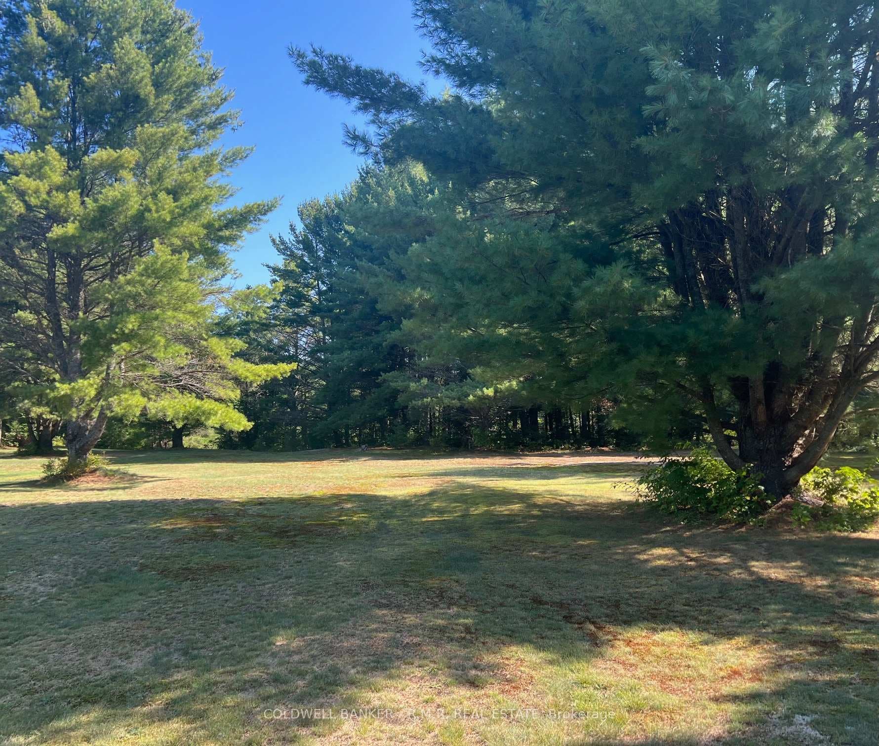 1371 Howland Junction Road photo 6