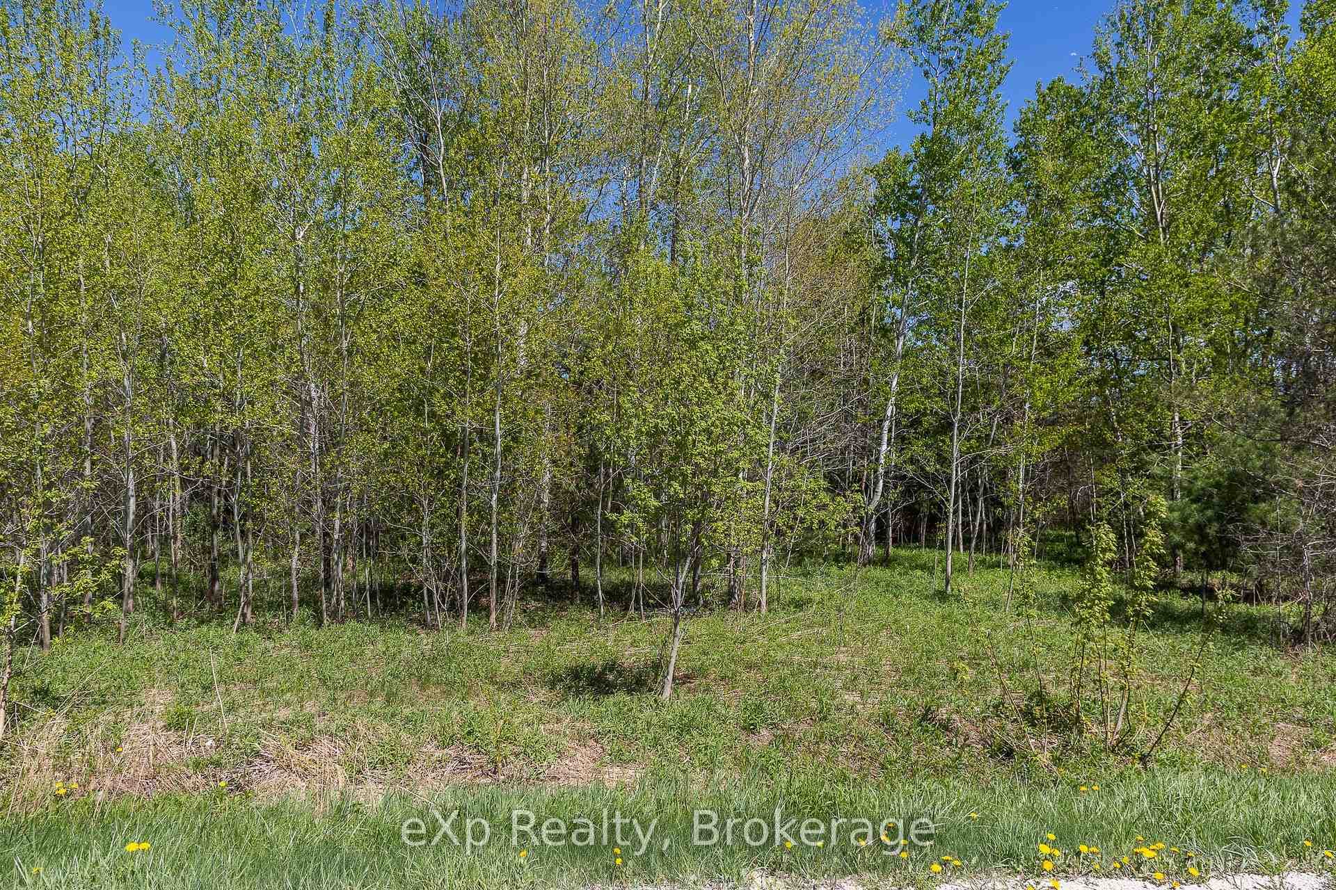 5716 County Road 9 N/A photo 6