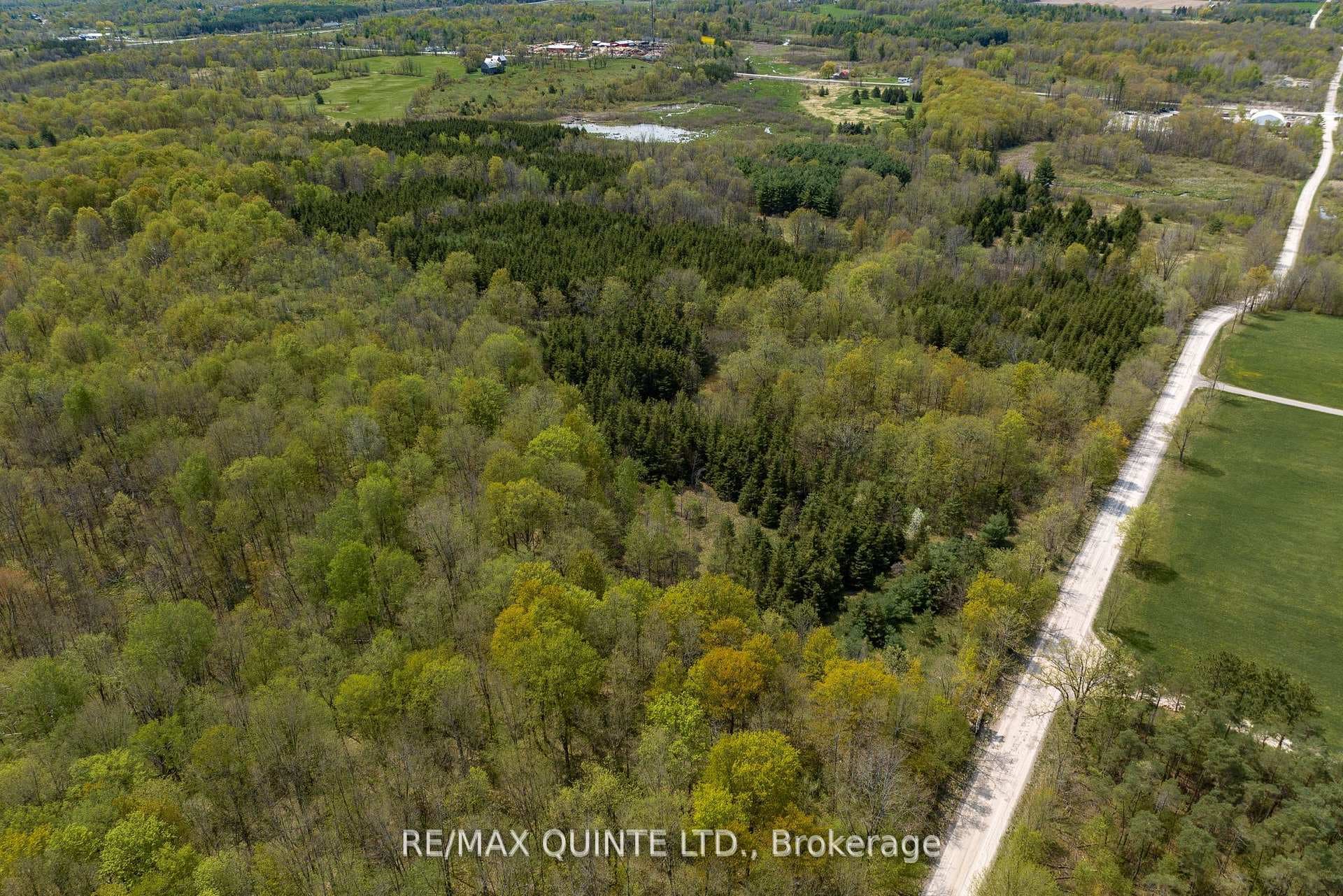 190 Riggs Road photo 6