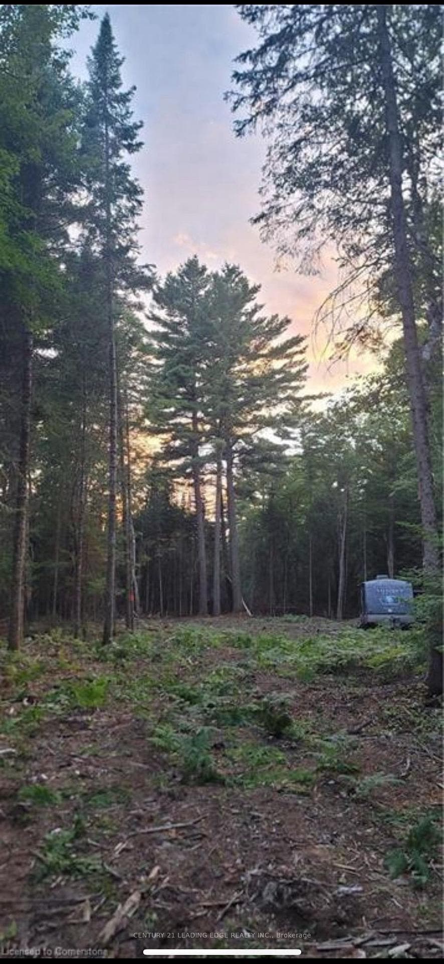 NA Dwight Beach Road photo 7