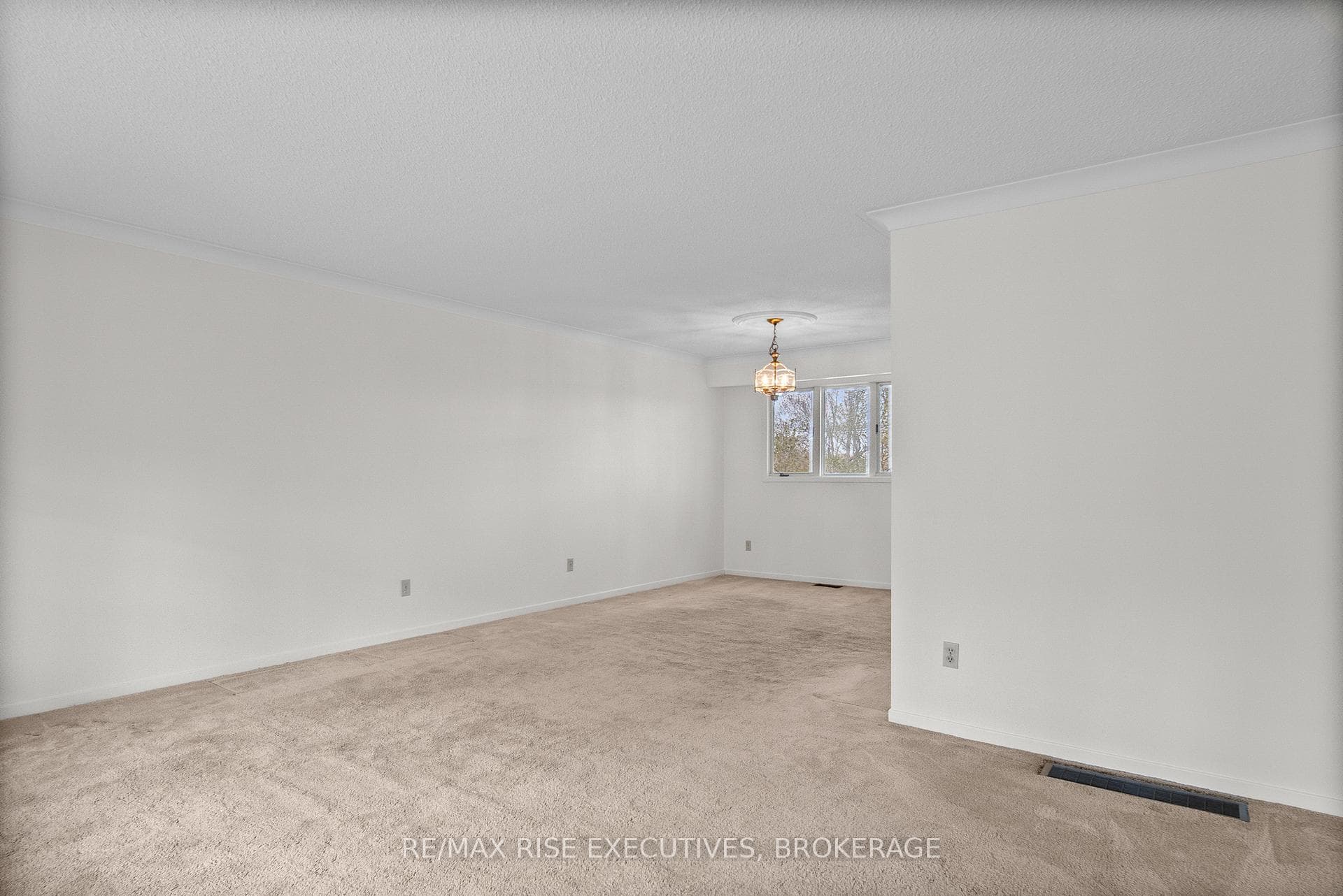 899 Safari Drive photo 9