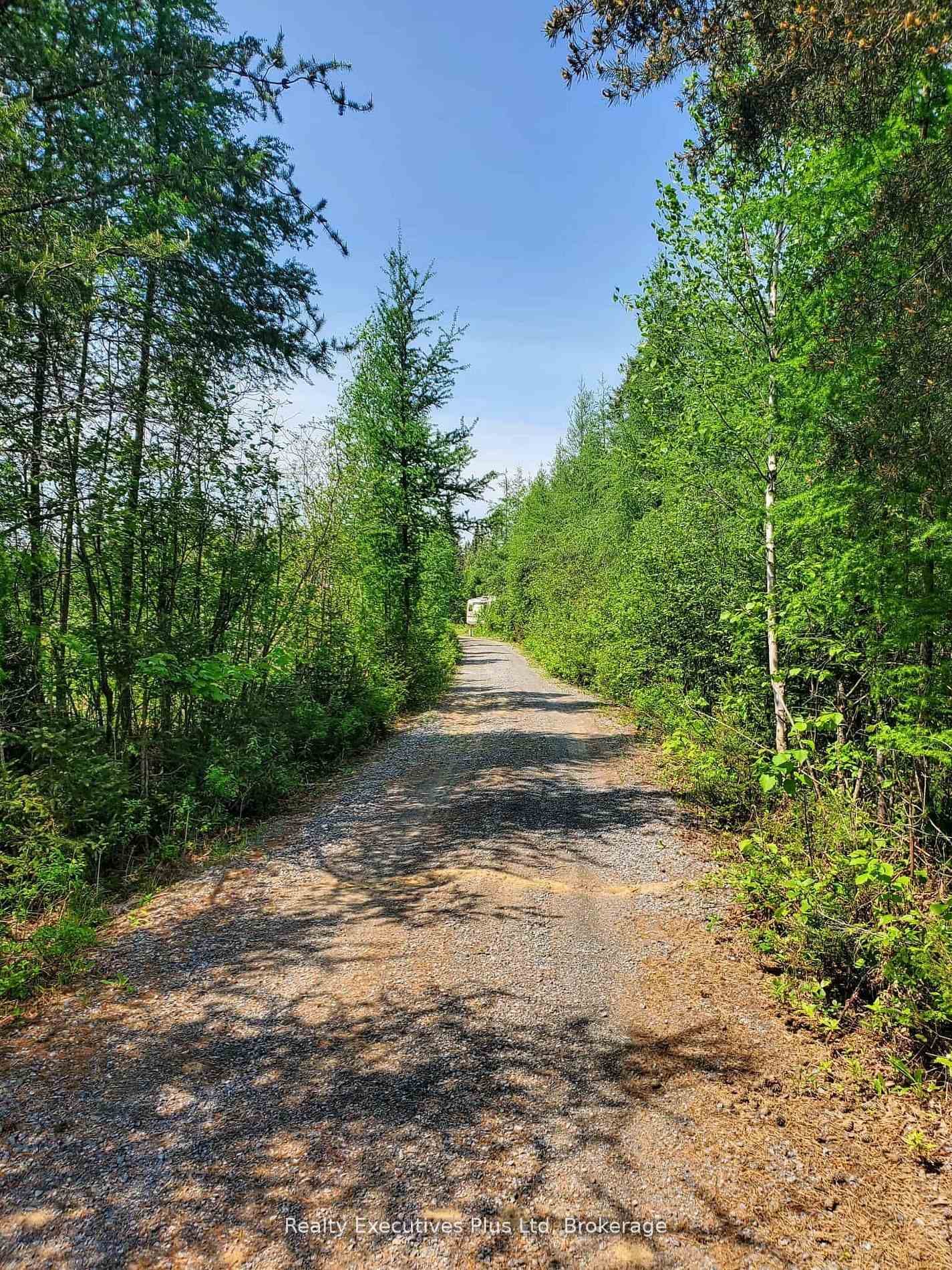 297 Joly Strong Road photo 8