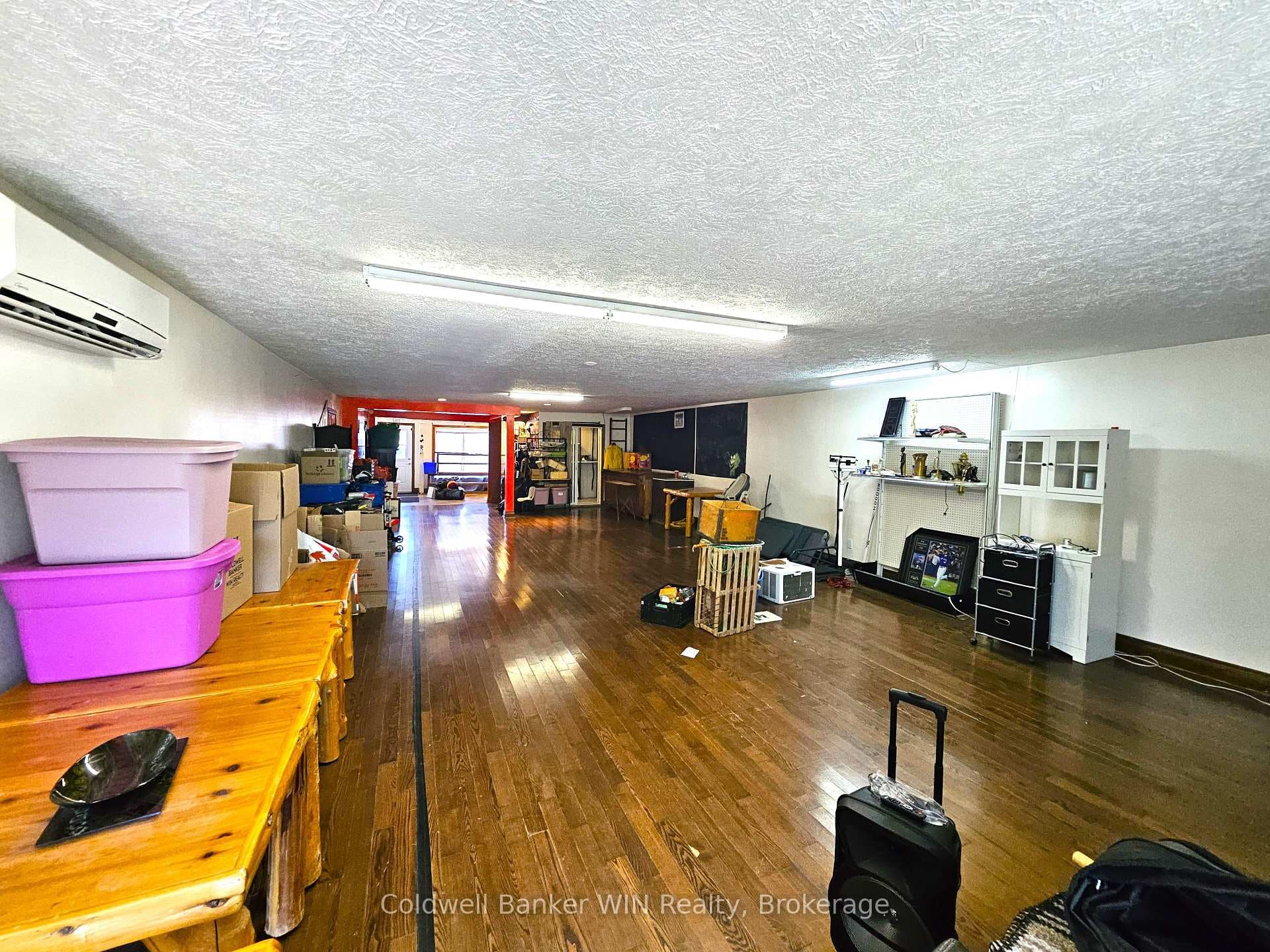 17 Arthur Street photo 7