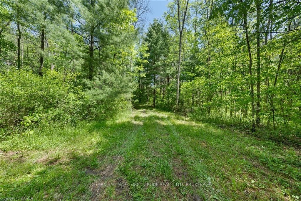 LOT 0 COUNTY ROAD 27 N/A photo 25