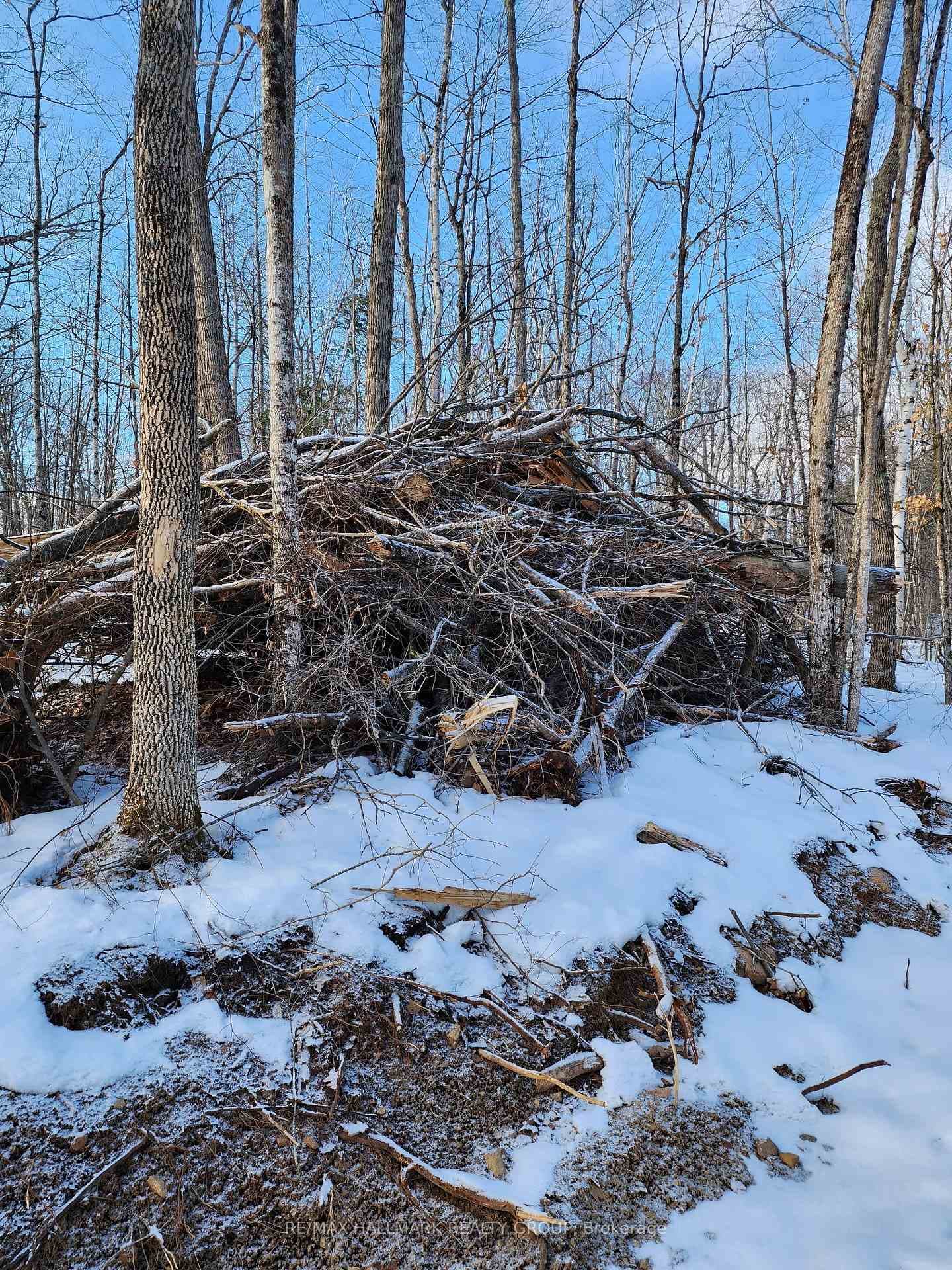 Lot #20 CRESTVIEW Drive photo 9