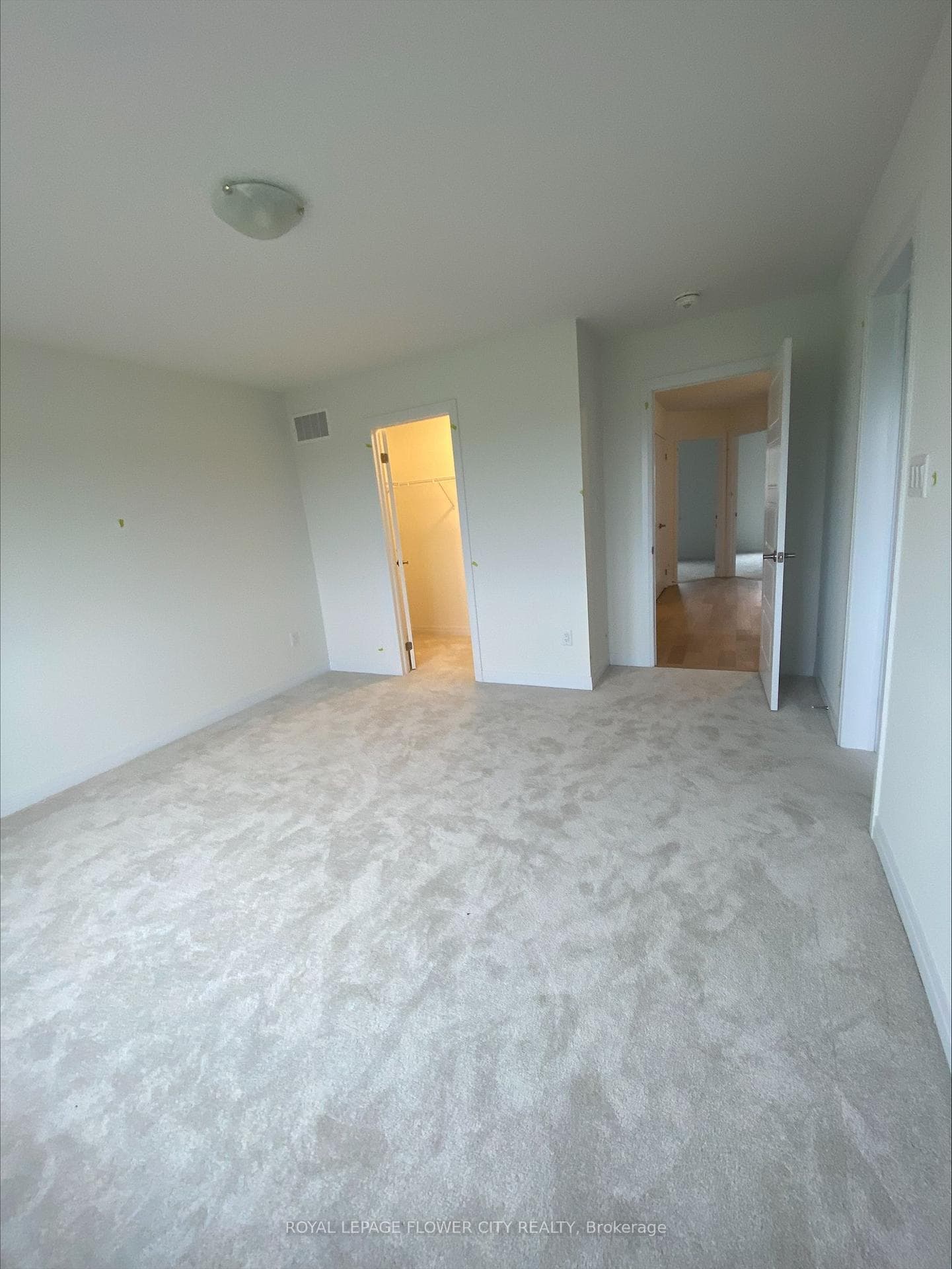 19 Velvet Way photo 10