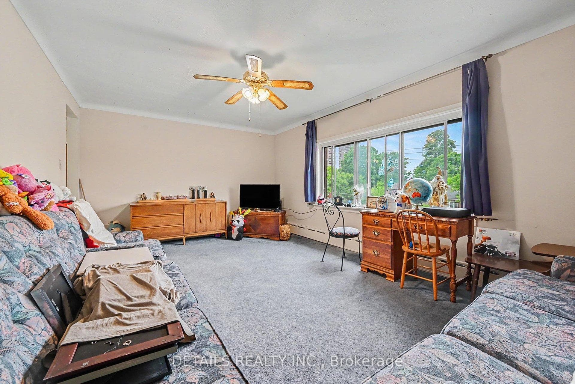 294 Donald Street photo 42
