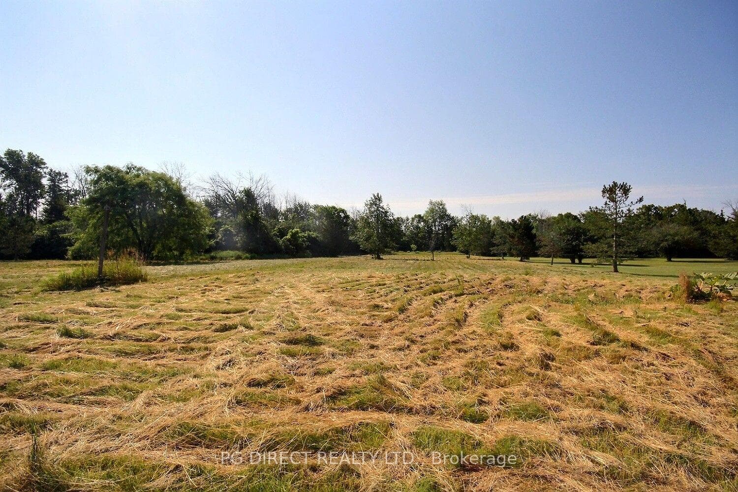 1065 County Rd 19 N/A photo 15