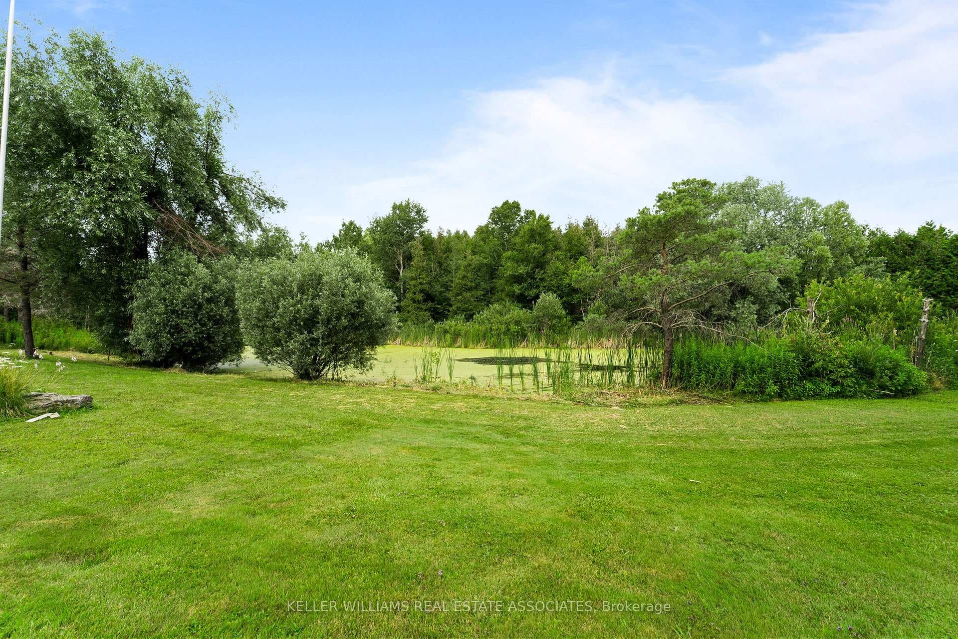 475356 County Road 11 N/A photo 30