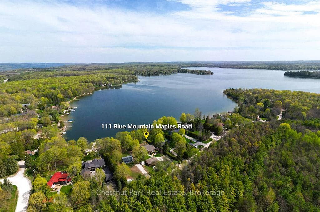 111 Blue Mountain Maples Road photo 1