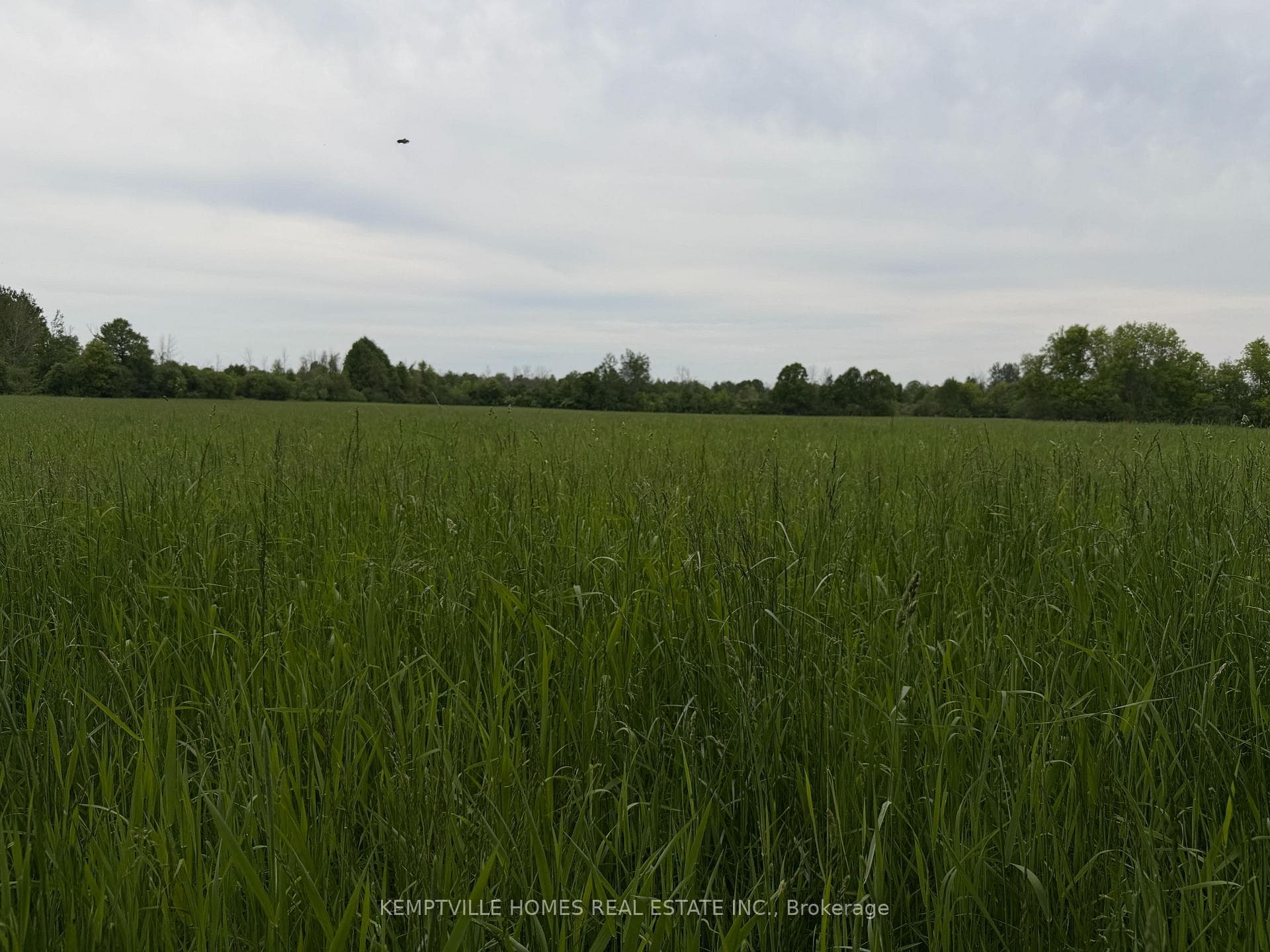 00 RICHARDSON Road photo 35