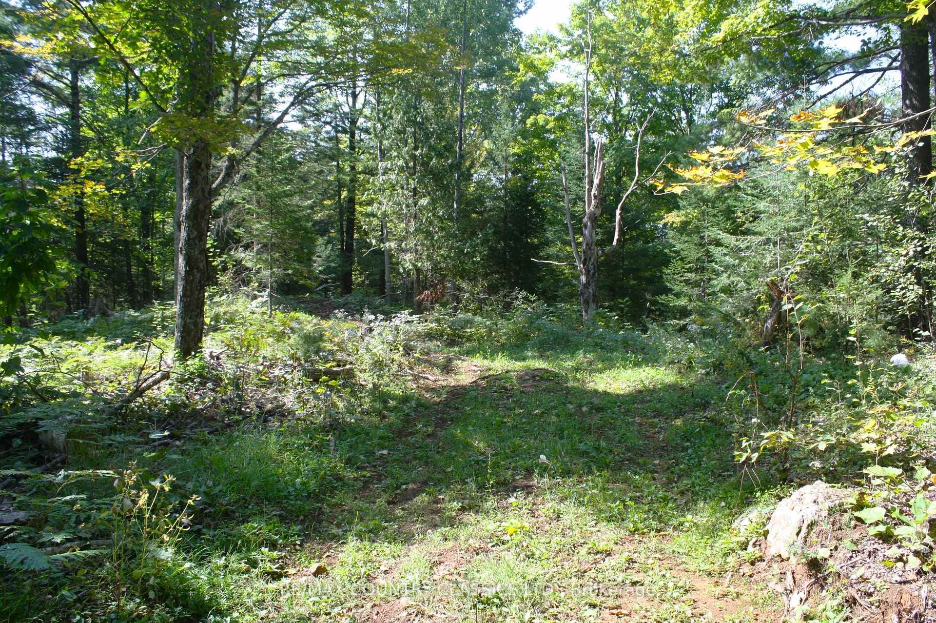 101 Goat Lane photo 3