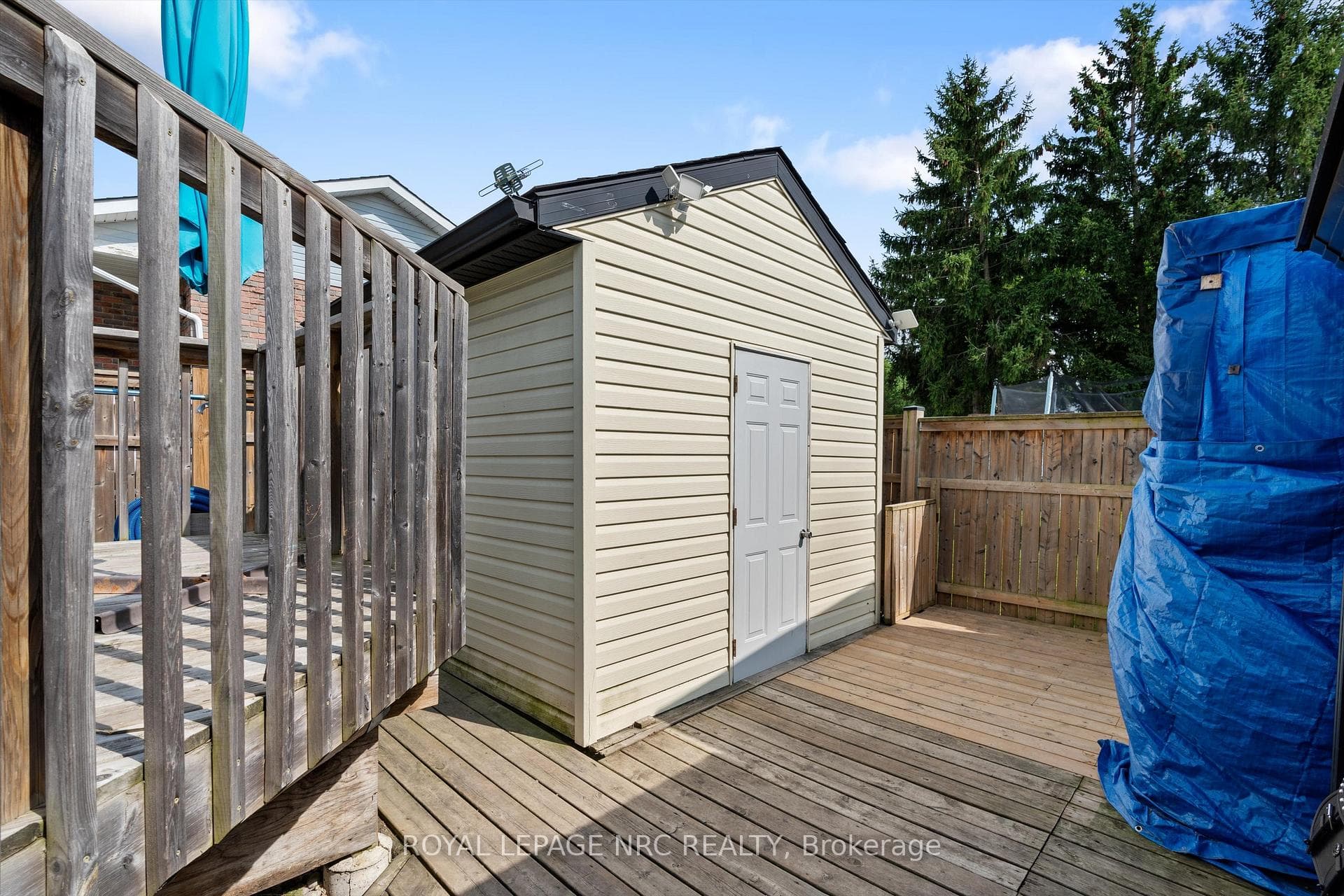 35 Dundonald Street photo 34