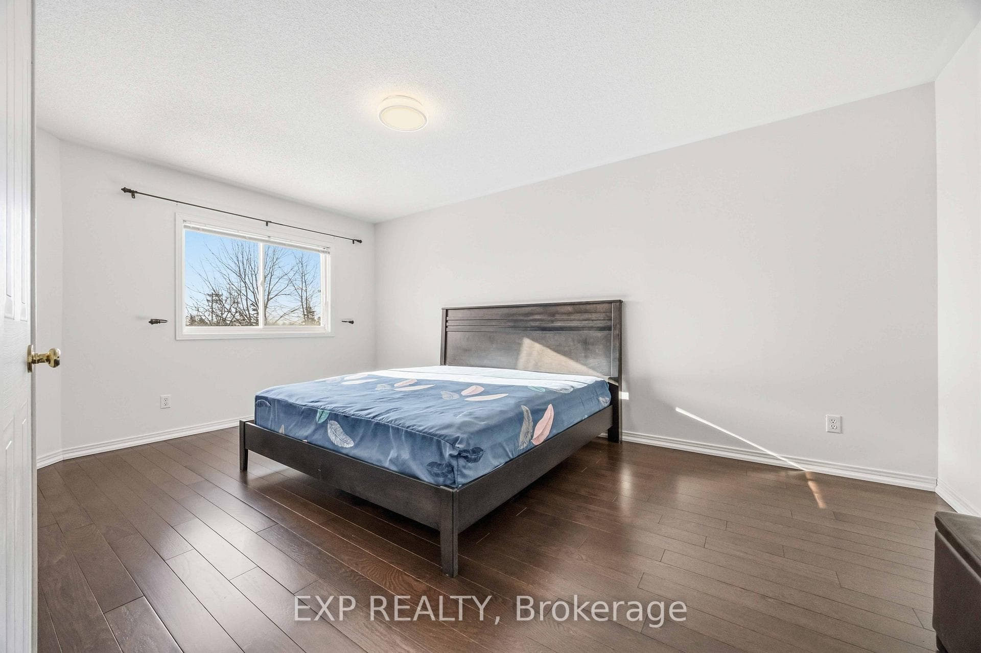 117 Halterwood Circle photo 15
