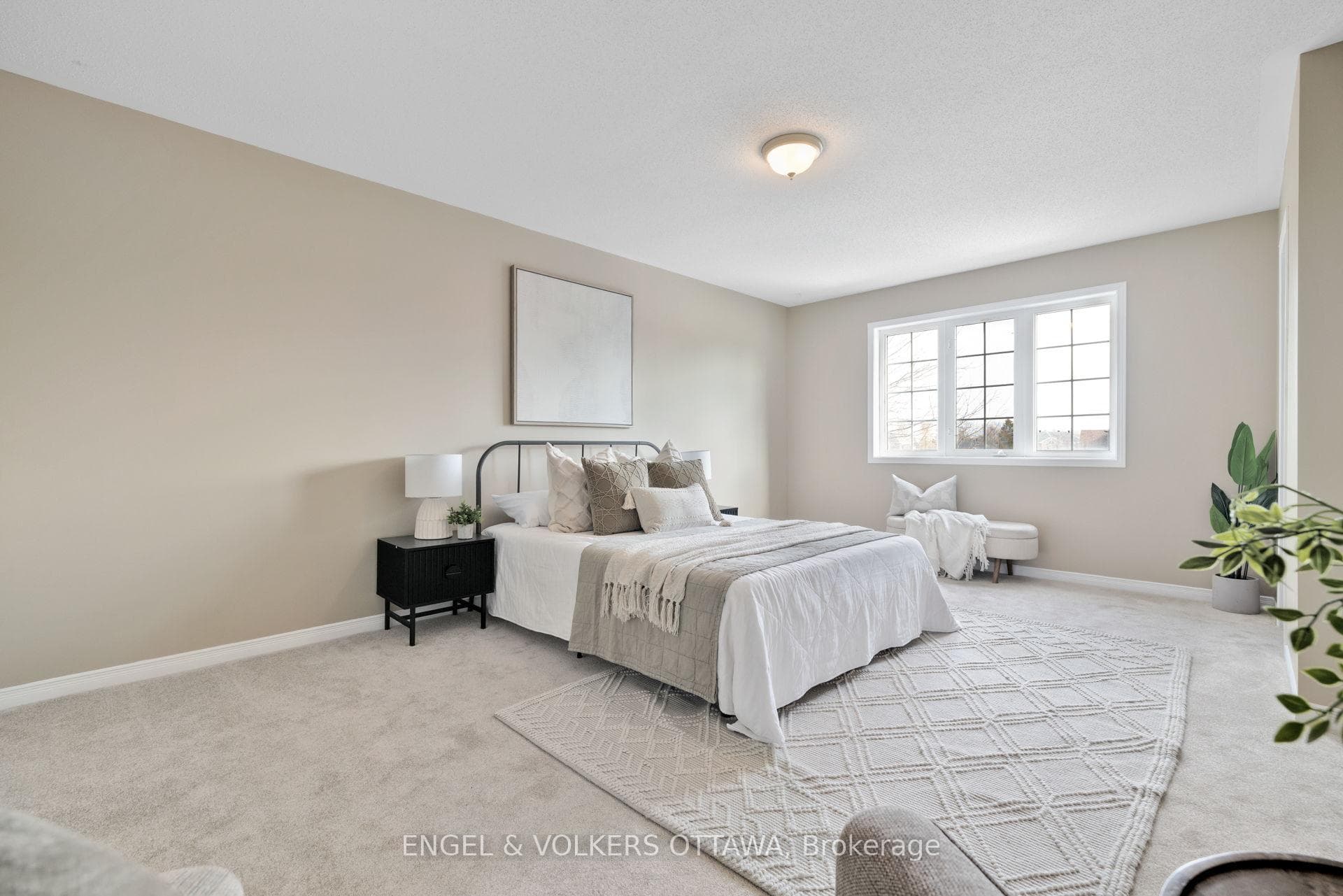 26 Carleton Cathcart Street photo 21