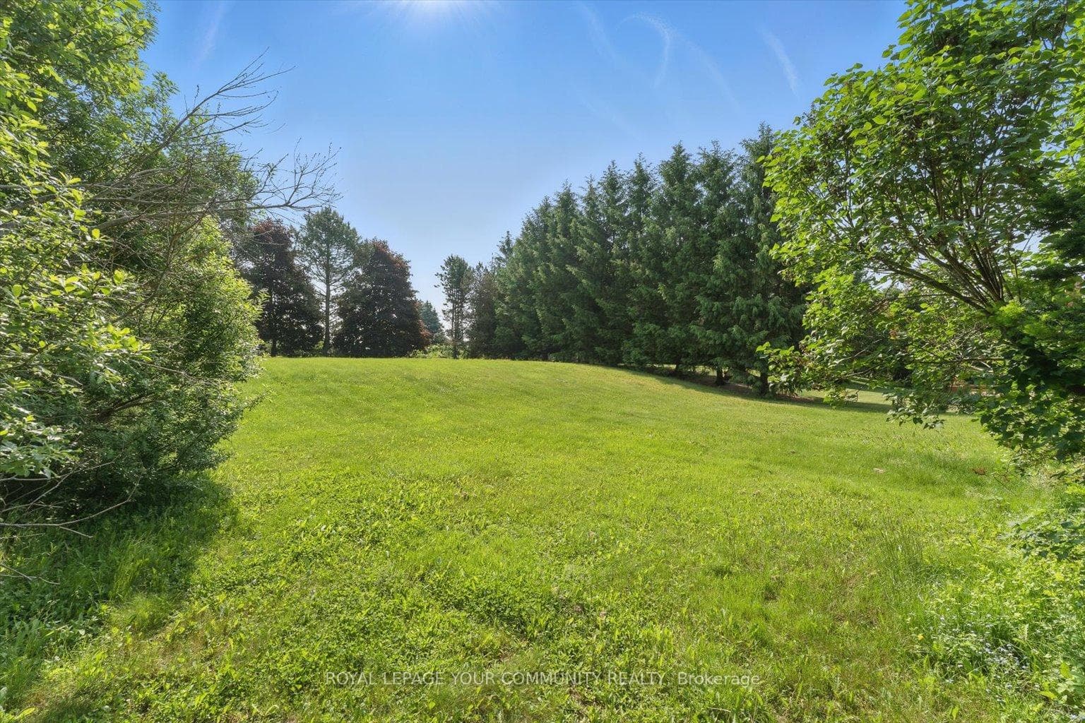 207 Burns Boulevard photo 33