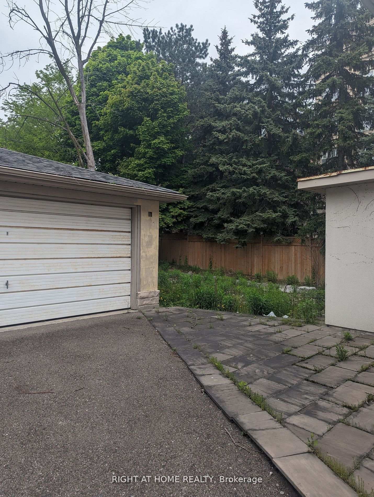 782 Spadina Road photo 5