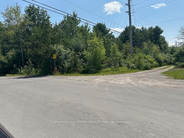 46 Walmac Shores Drive photo 8