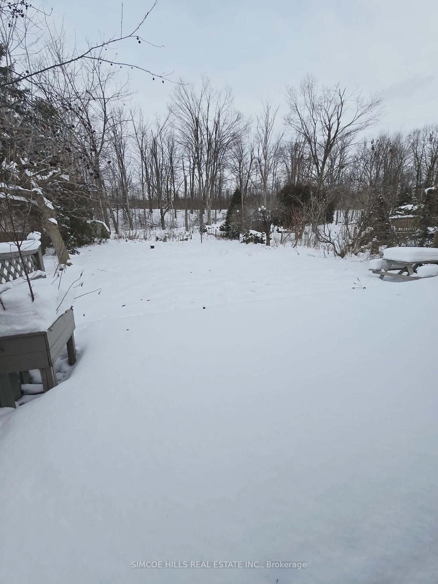 326 Harvey Street photo 12