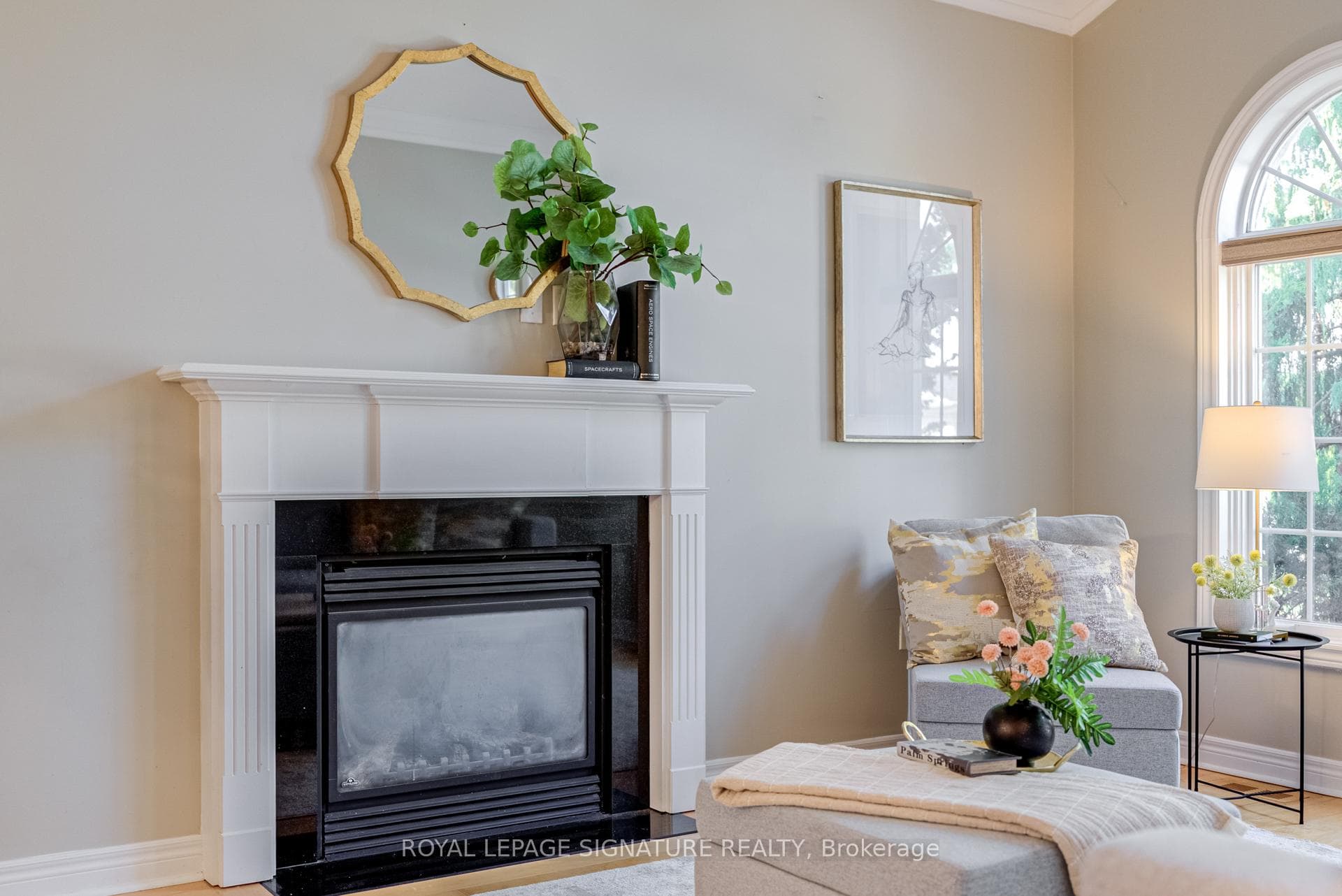 19 Driscoll Drive photo 5