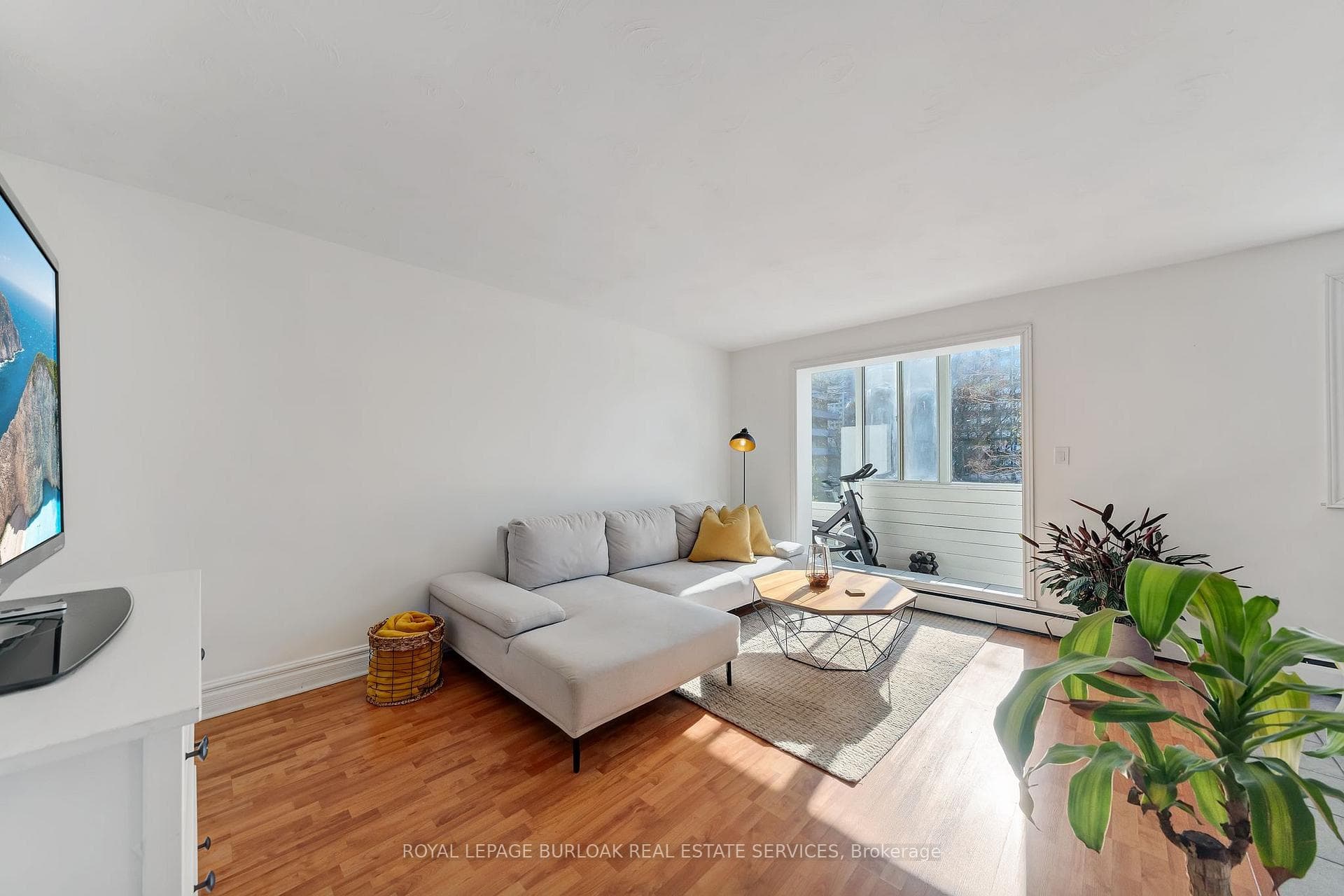 101 Queen Street Unit 501 photo 5