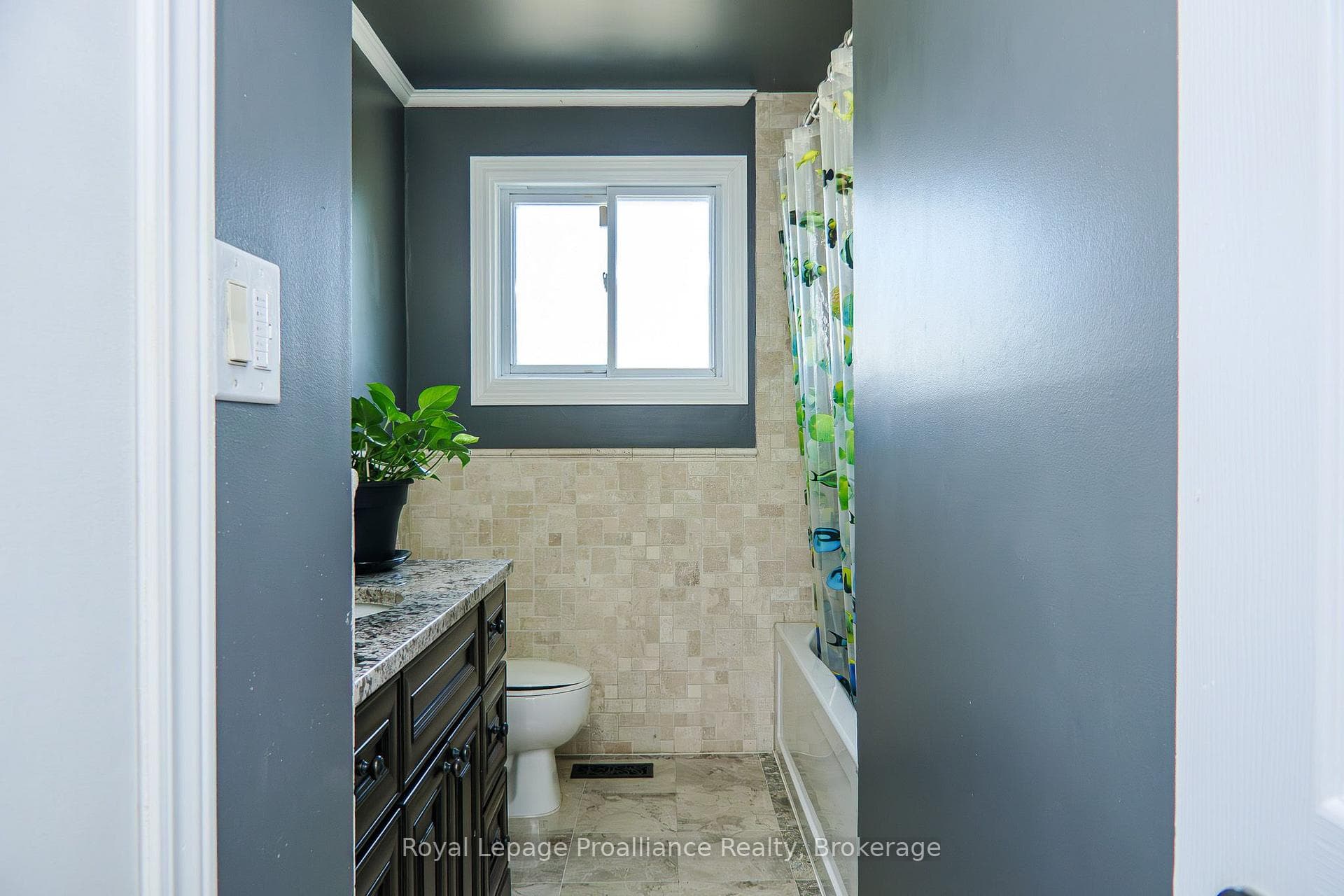 44 Ireland Drive photo 18