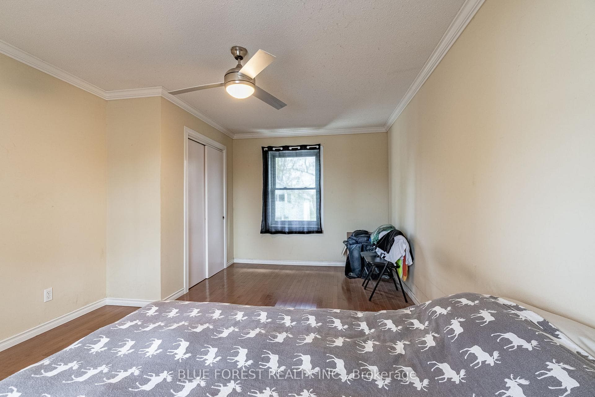 175 Peter Street photo 26
