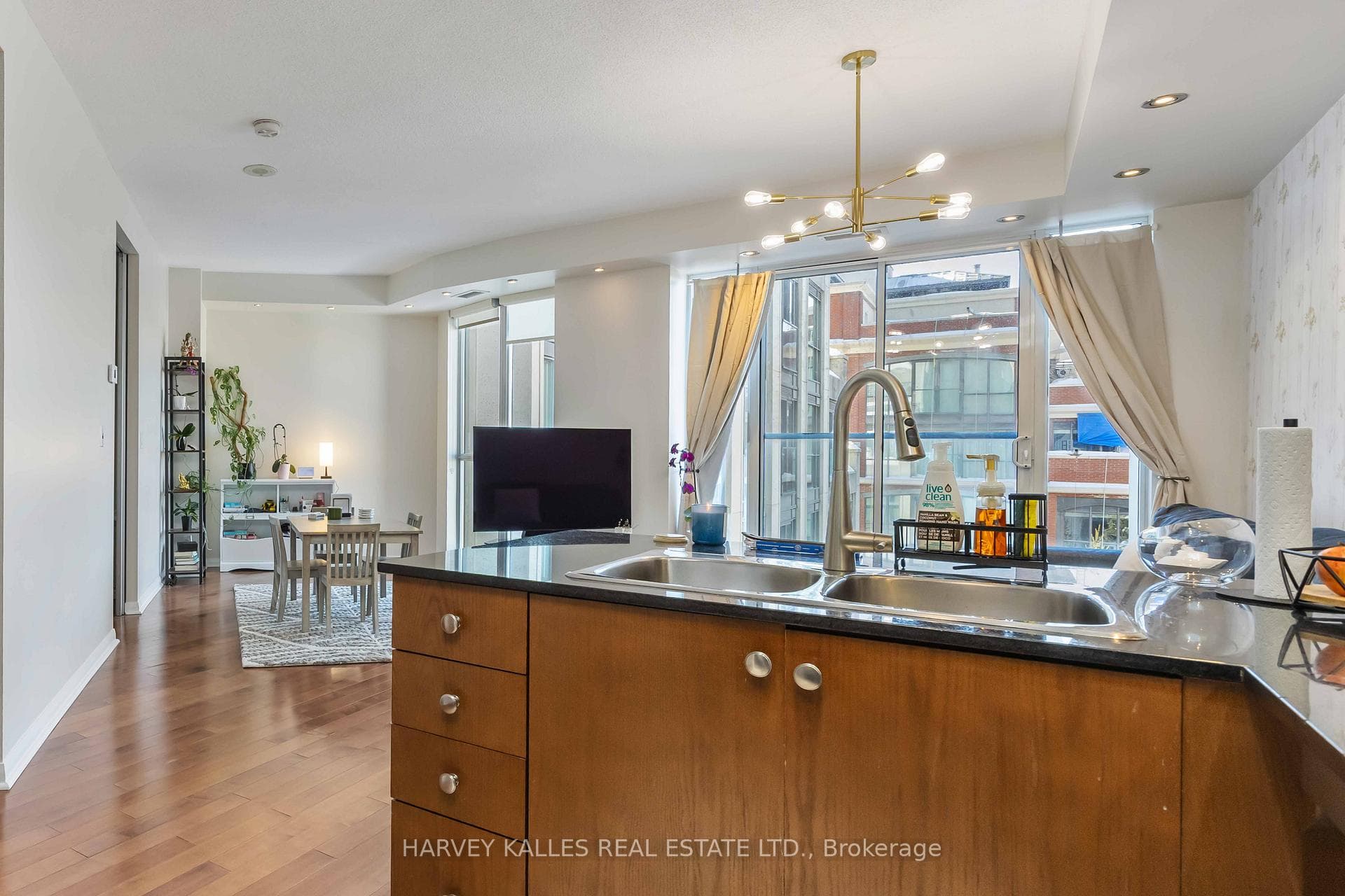 18 Beverley Street Unit 601 photo 7