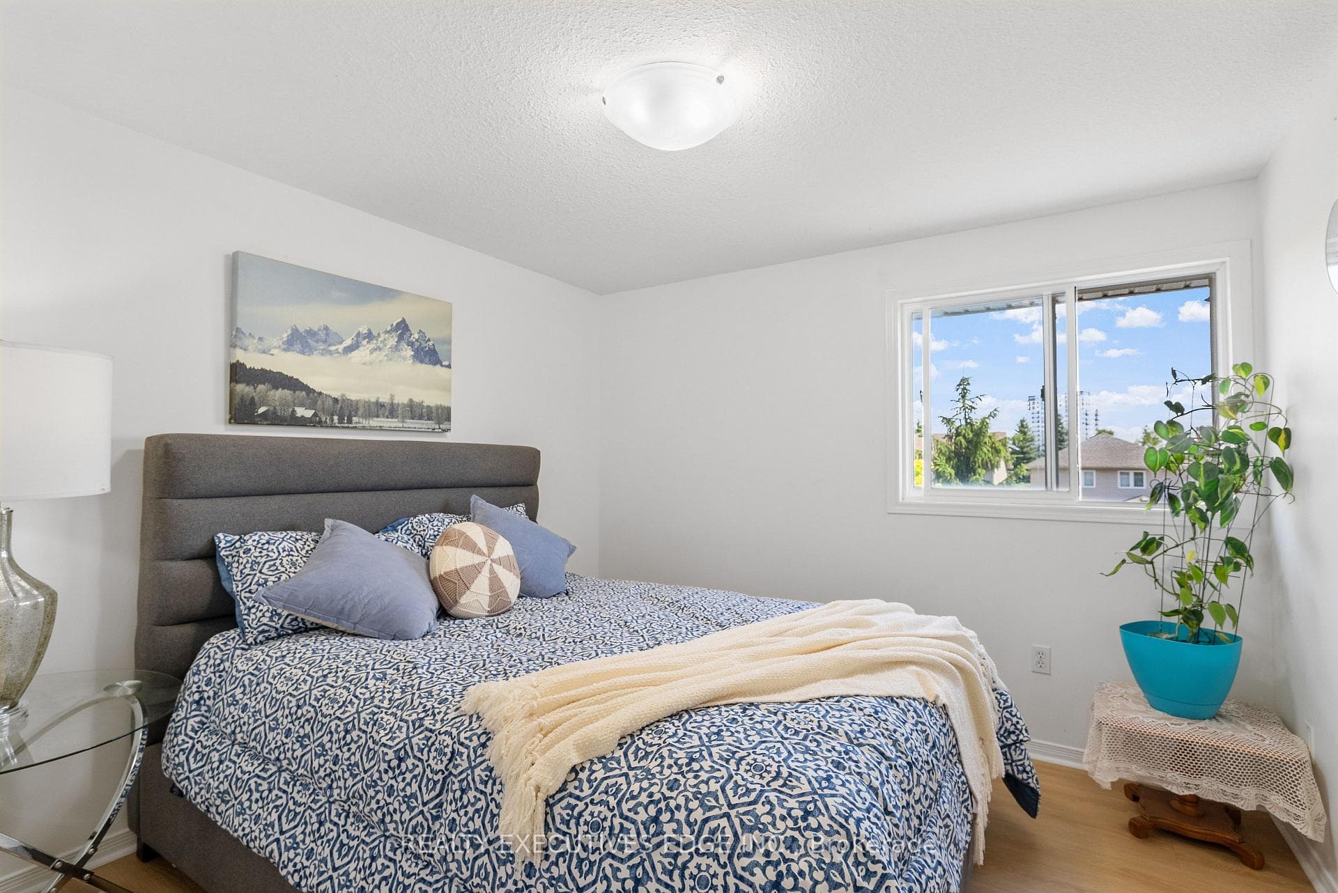 17 Beattie Street photo 26
